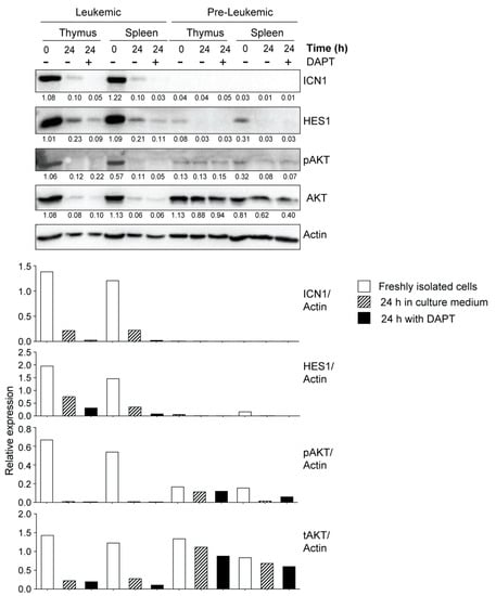 Cancers 15 00671 g006
