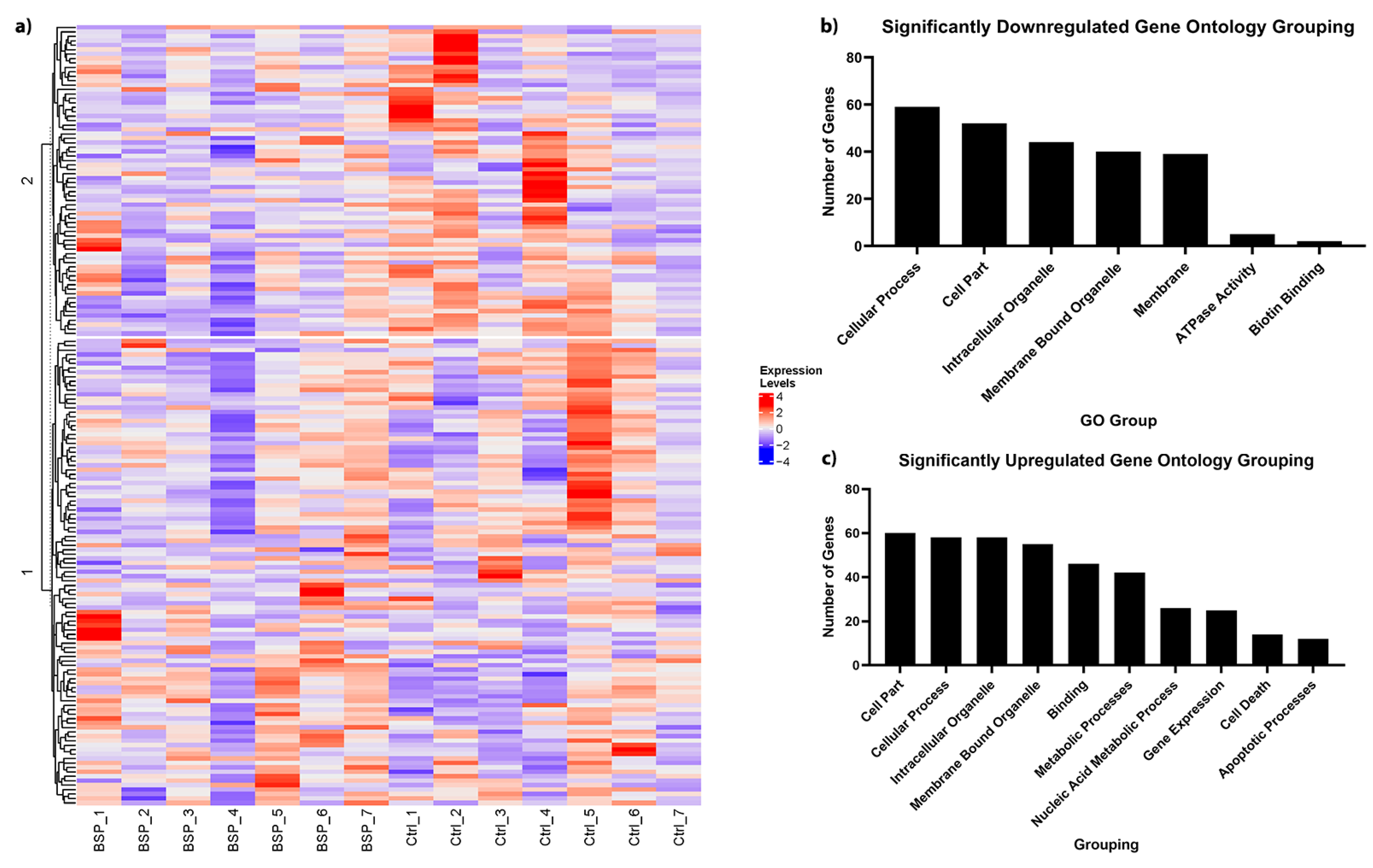 Cancers 15 00674 g005