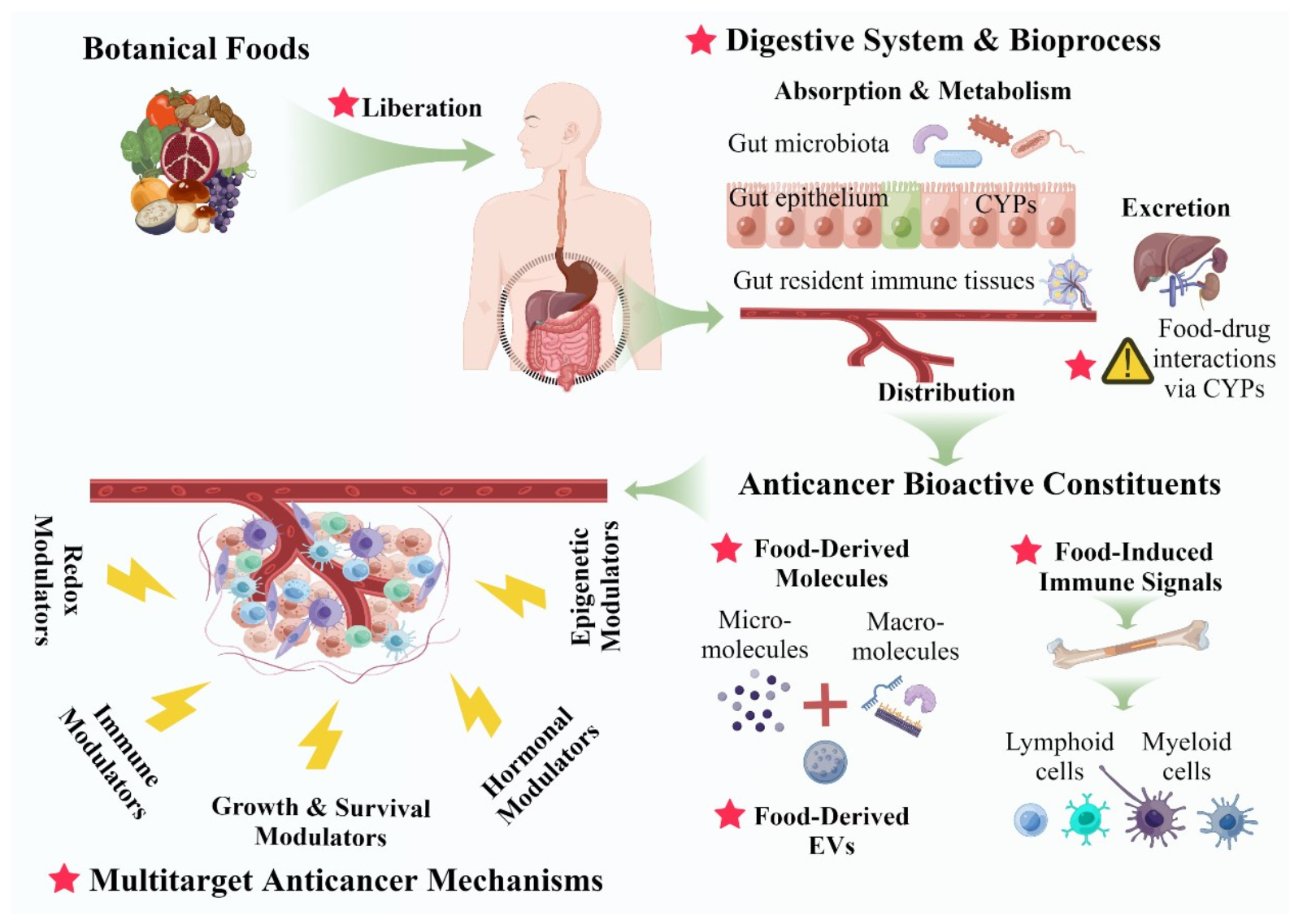 Cancers 15 00701 g002