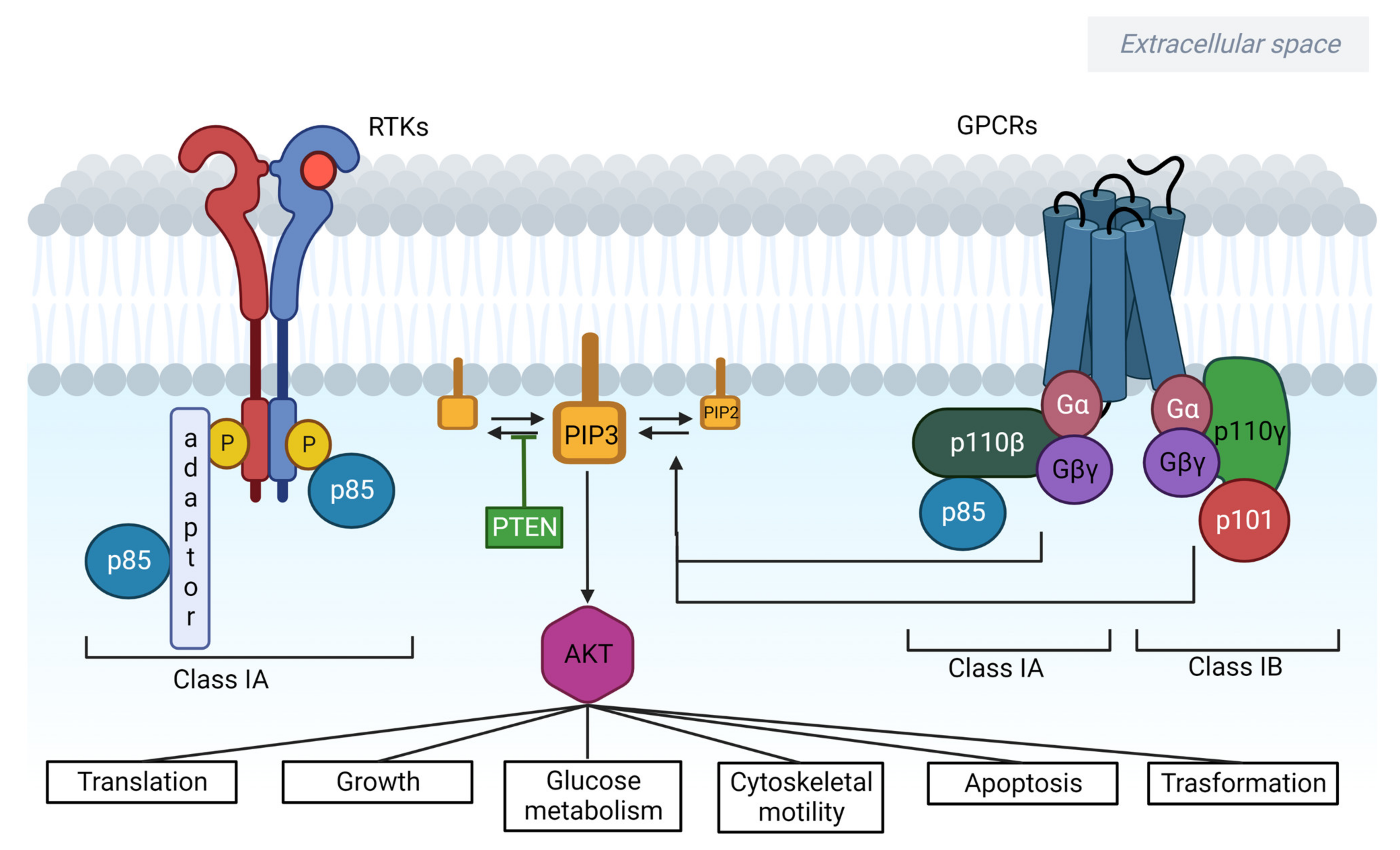 Cancers 15 00703 g001