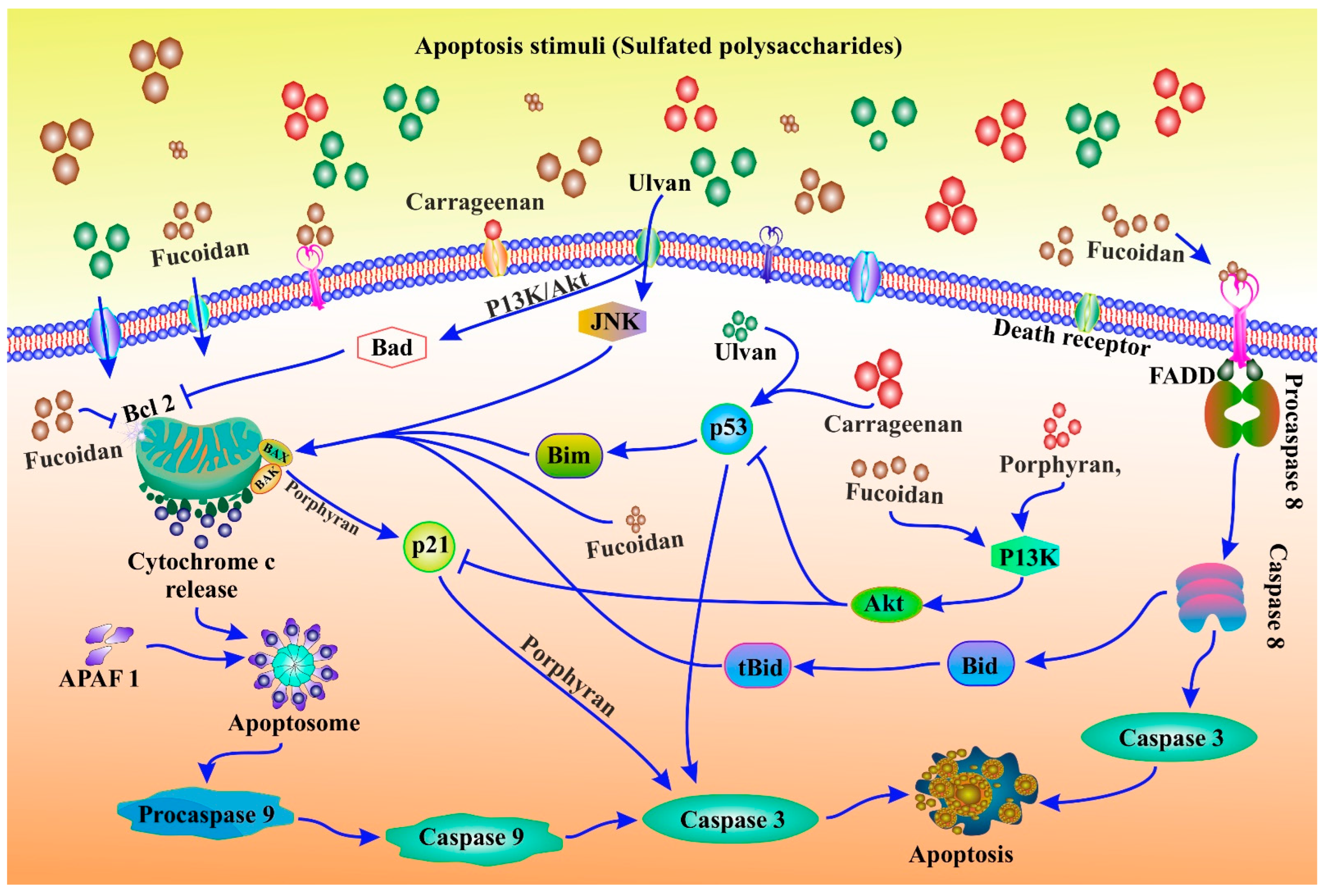 Cancers 15 00715 g006 Cancers 15 00715 g006