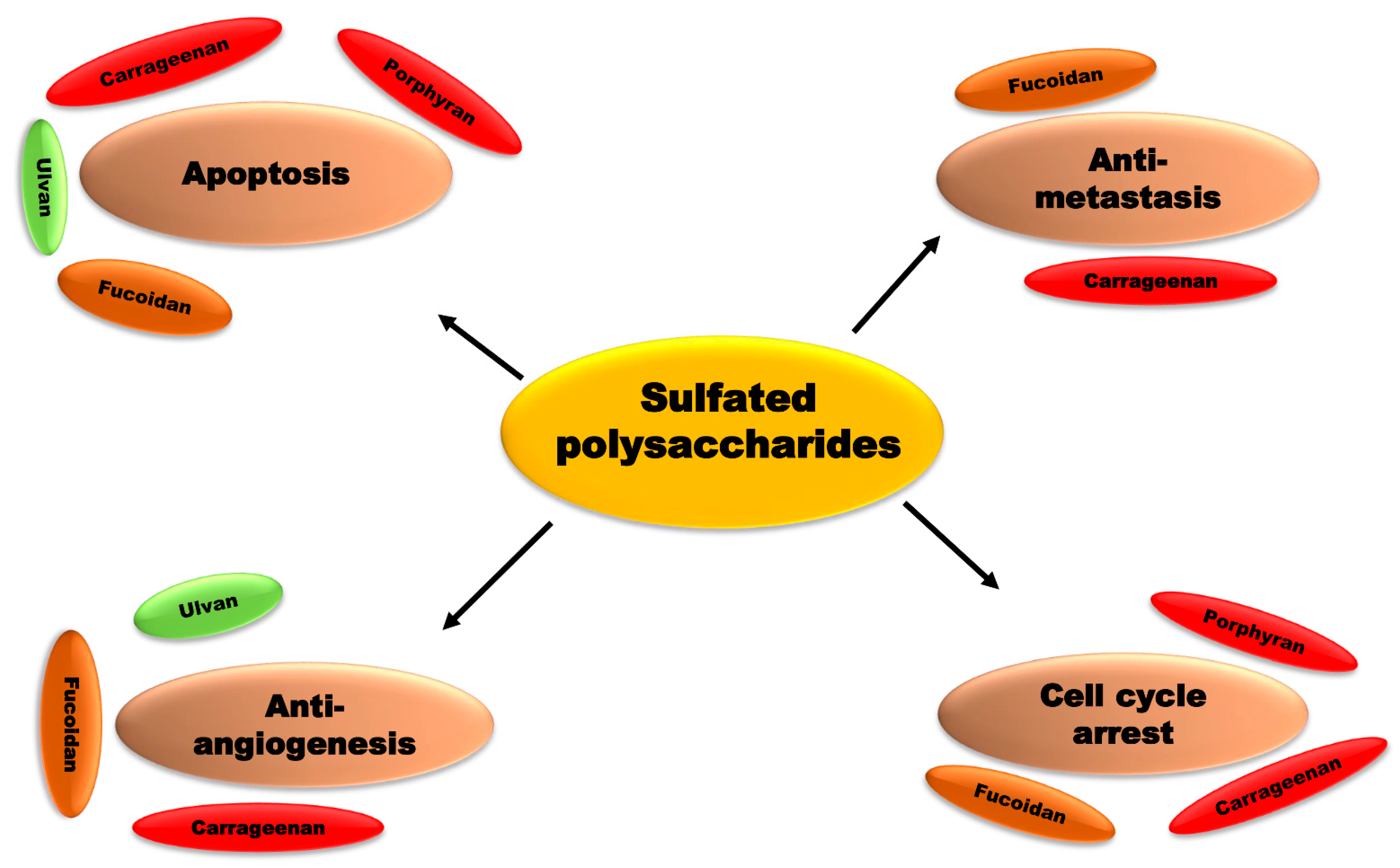 Cancers 15 00715 g007 Cancers 15 00715 g007