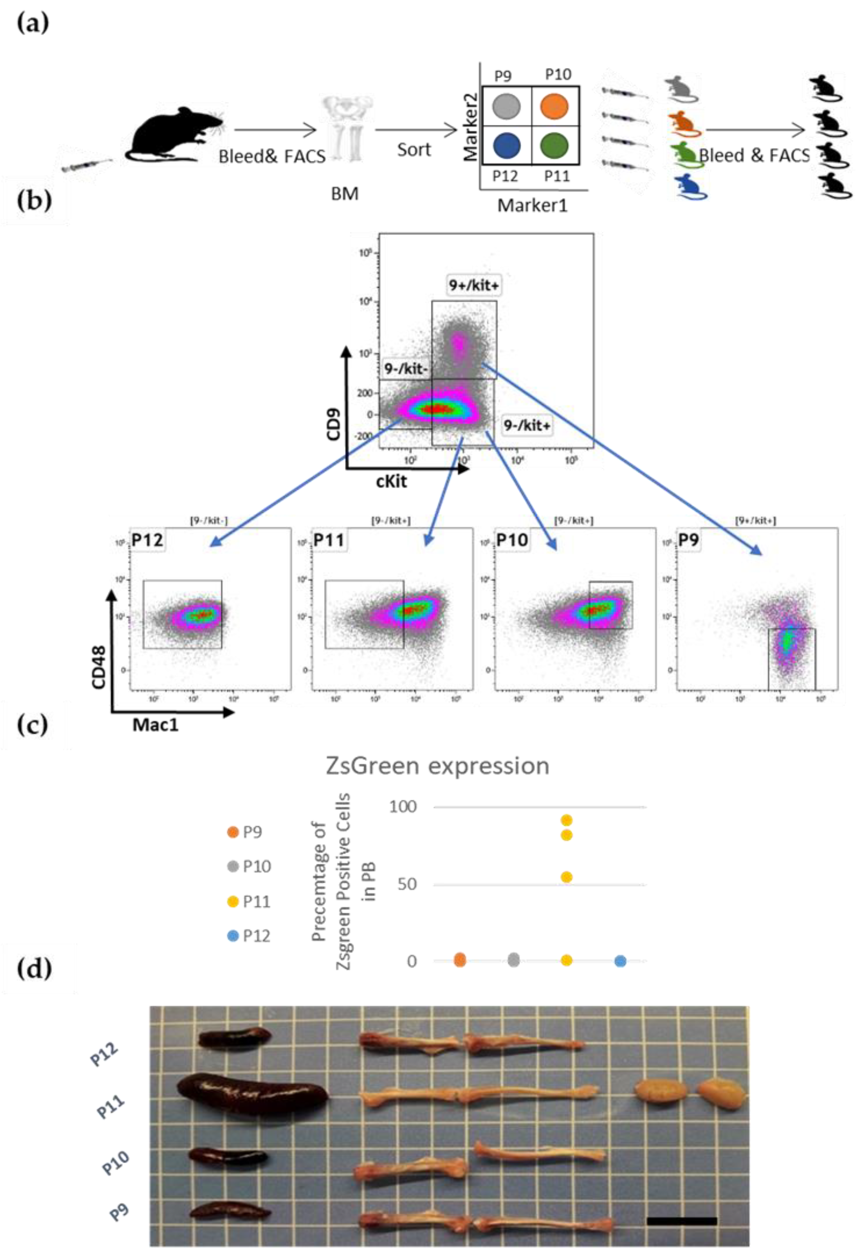 Cancers 15 00720 g002