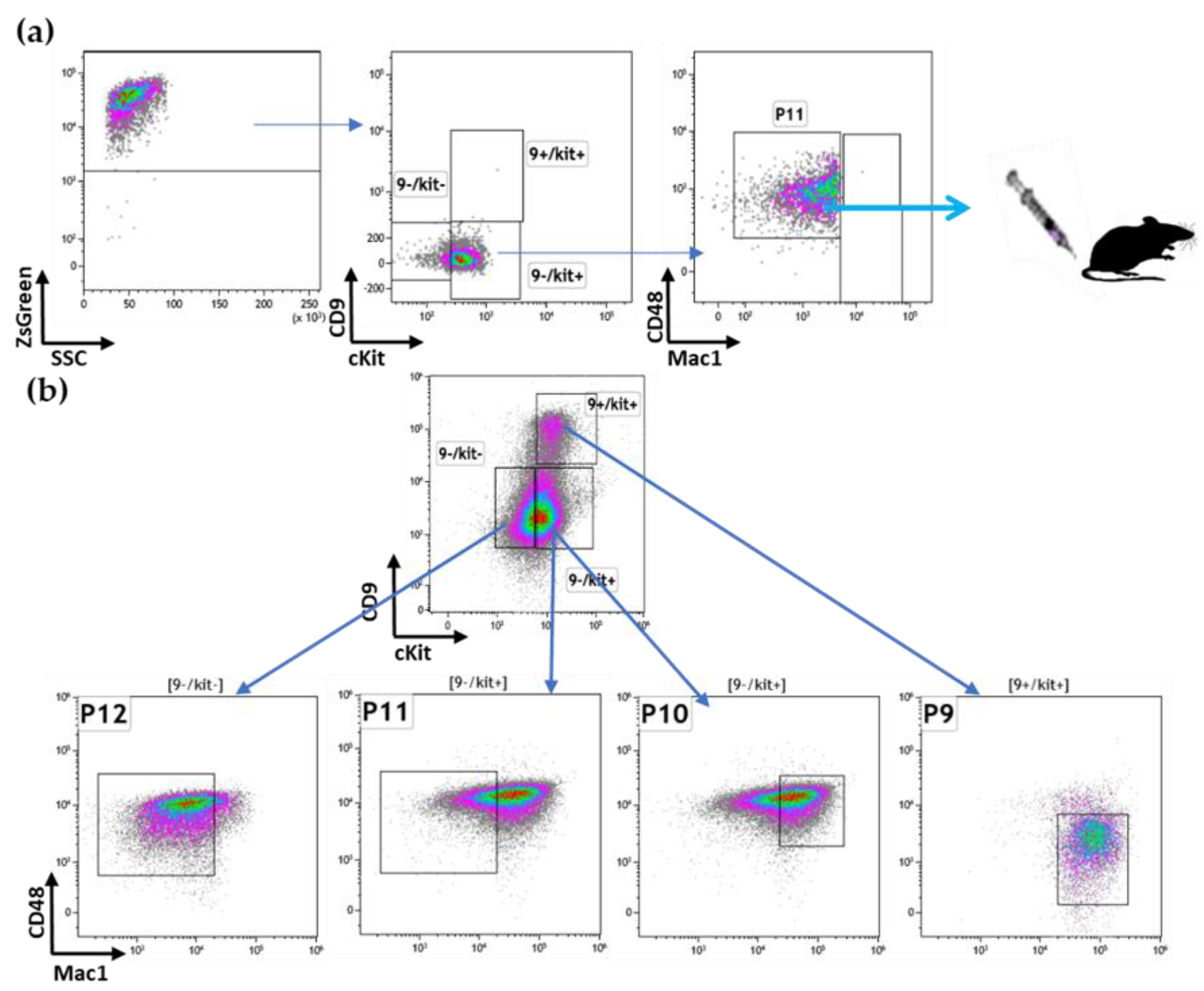 Cancers 15 00720 g003
