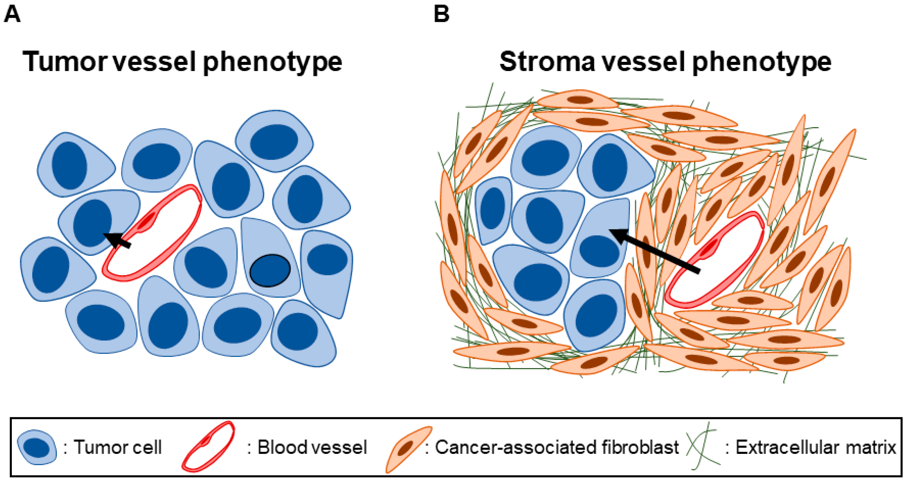 Cancers 15 00724 g001