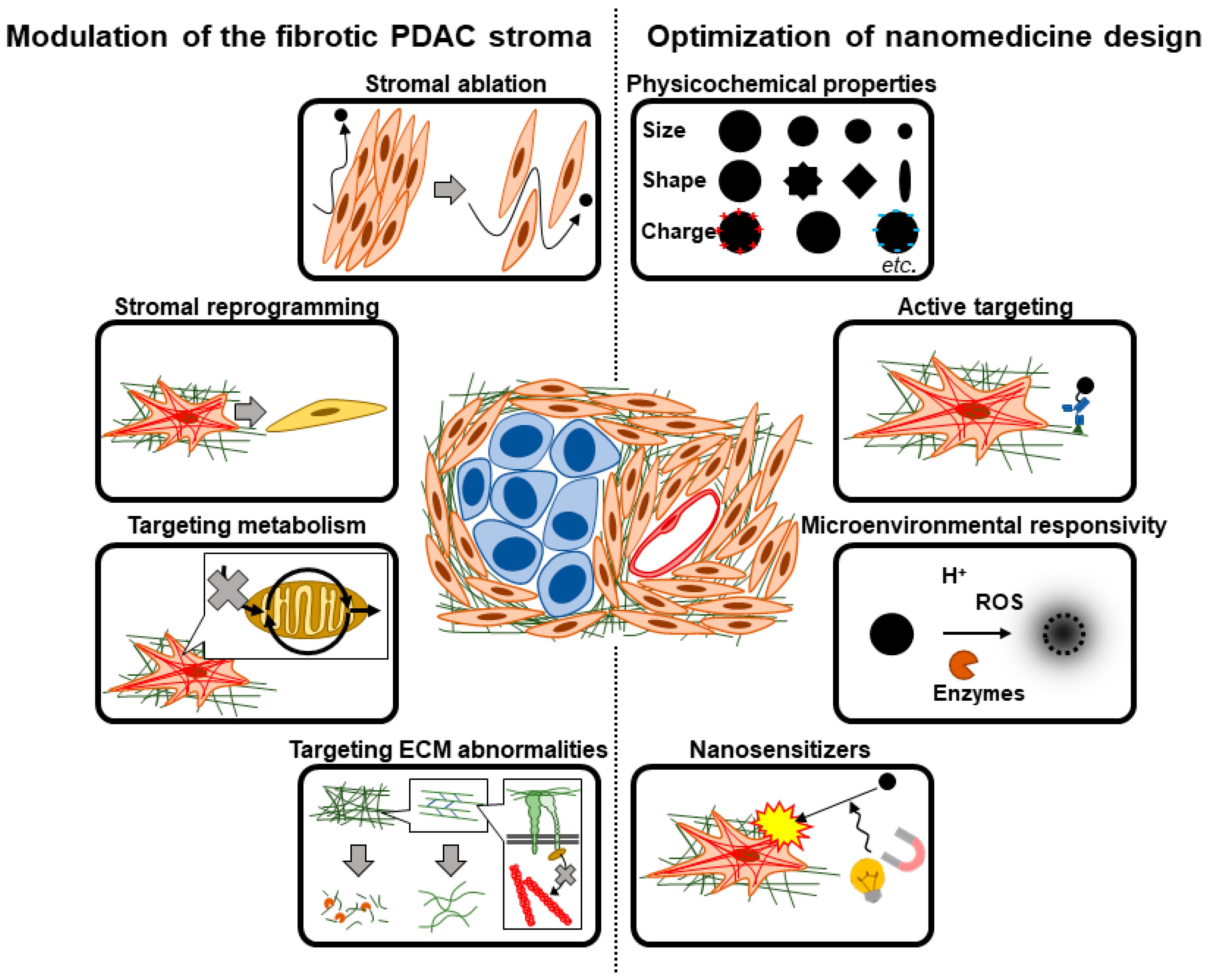 Cancers 15 00724 g004