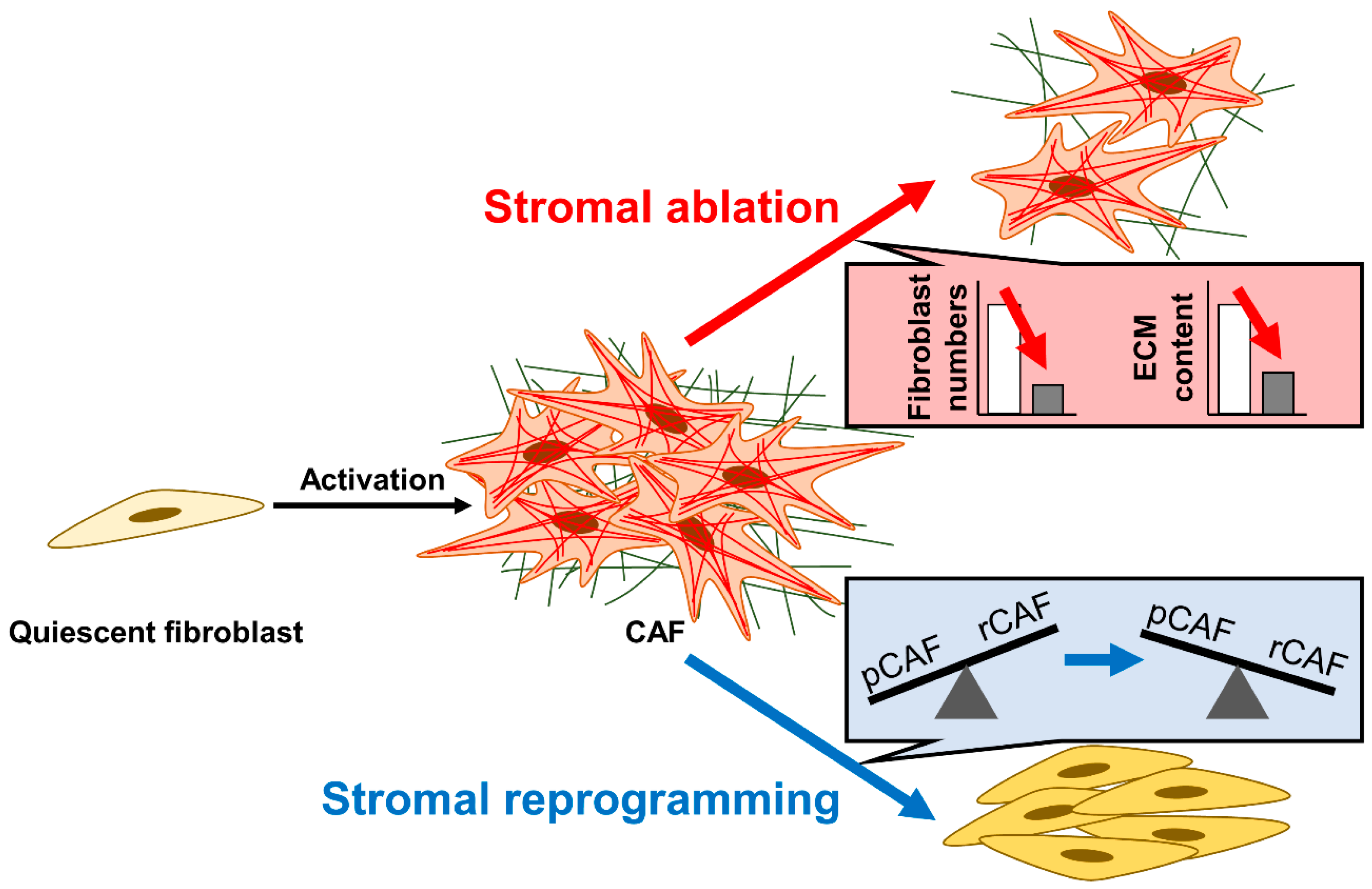 Cancers 15 00724 g005