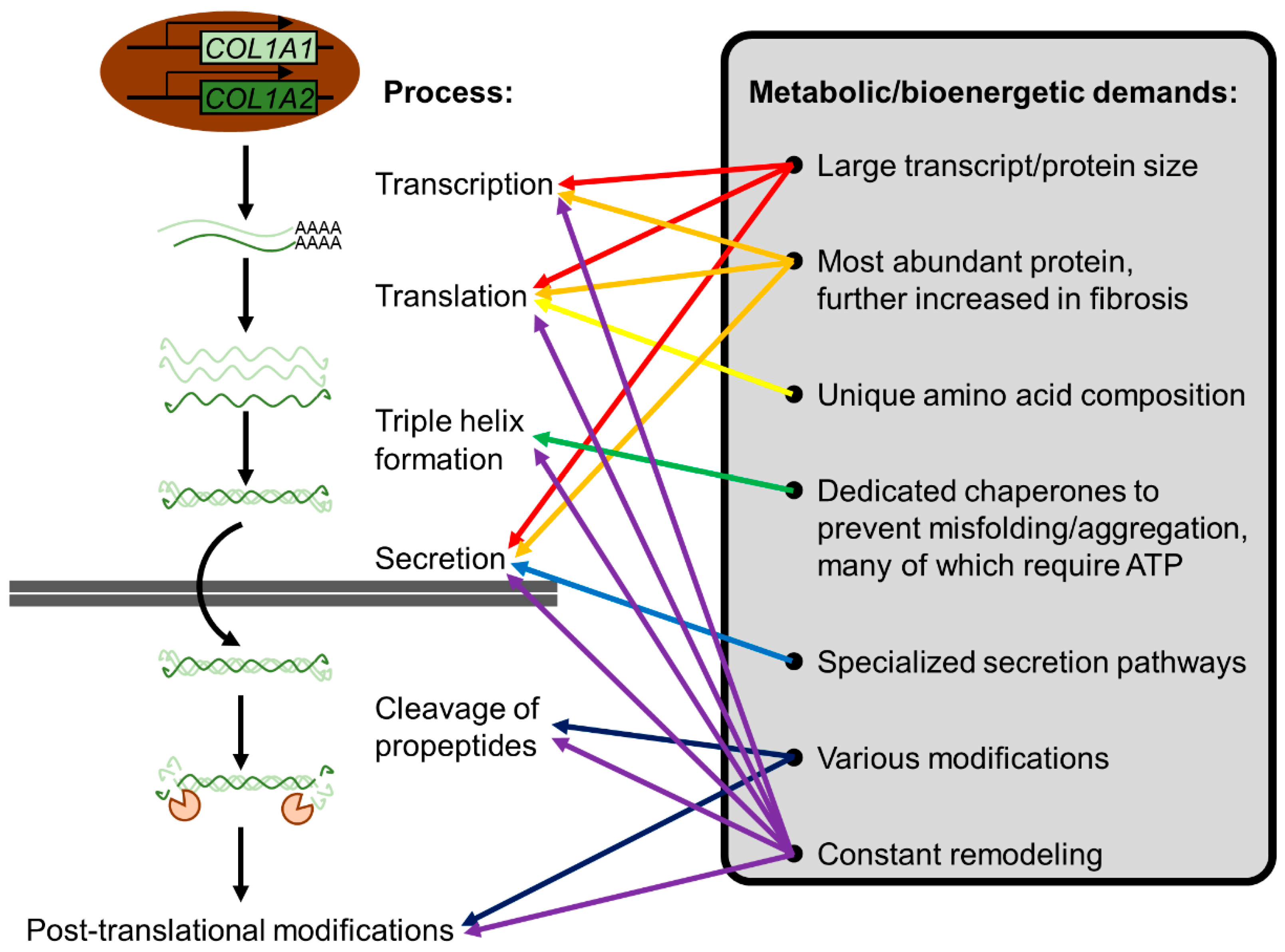 Cancers 15 00724 g007