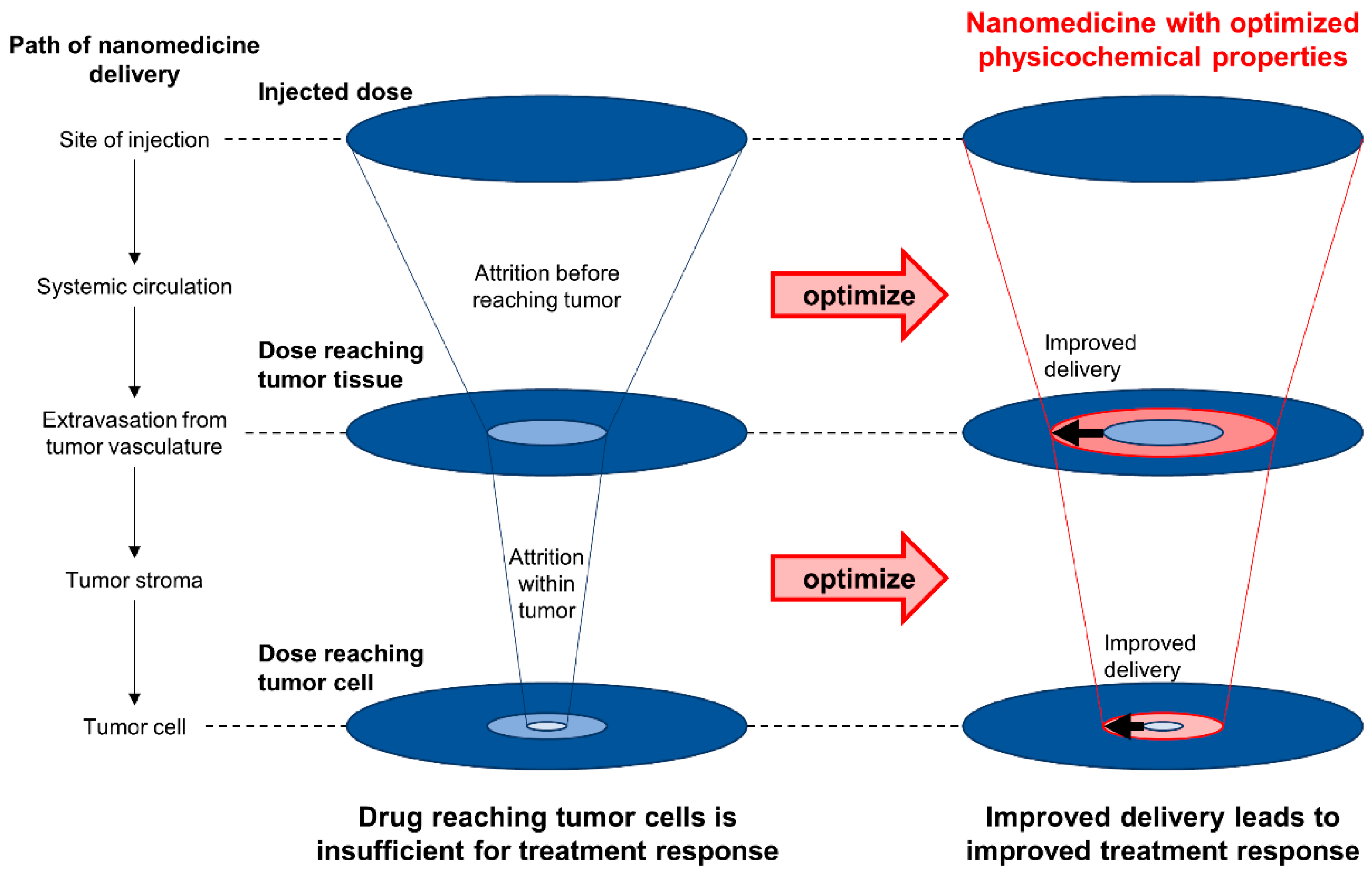 Cancers 15 00724 g009