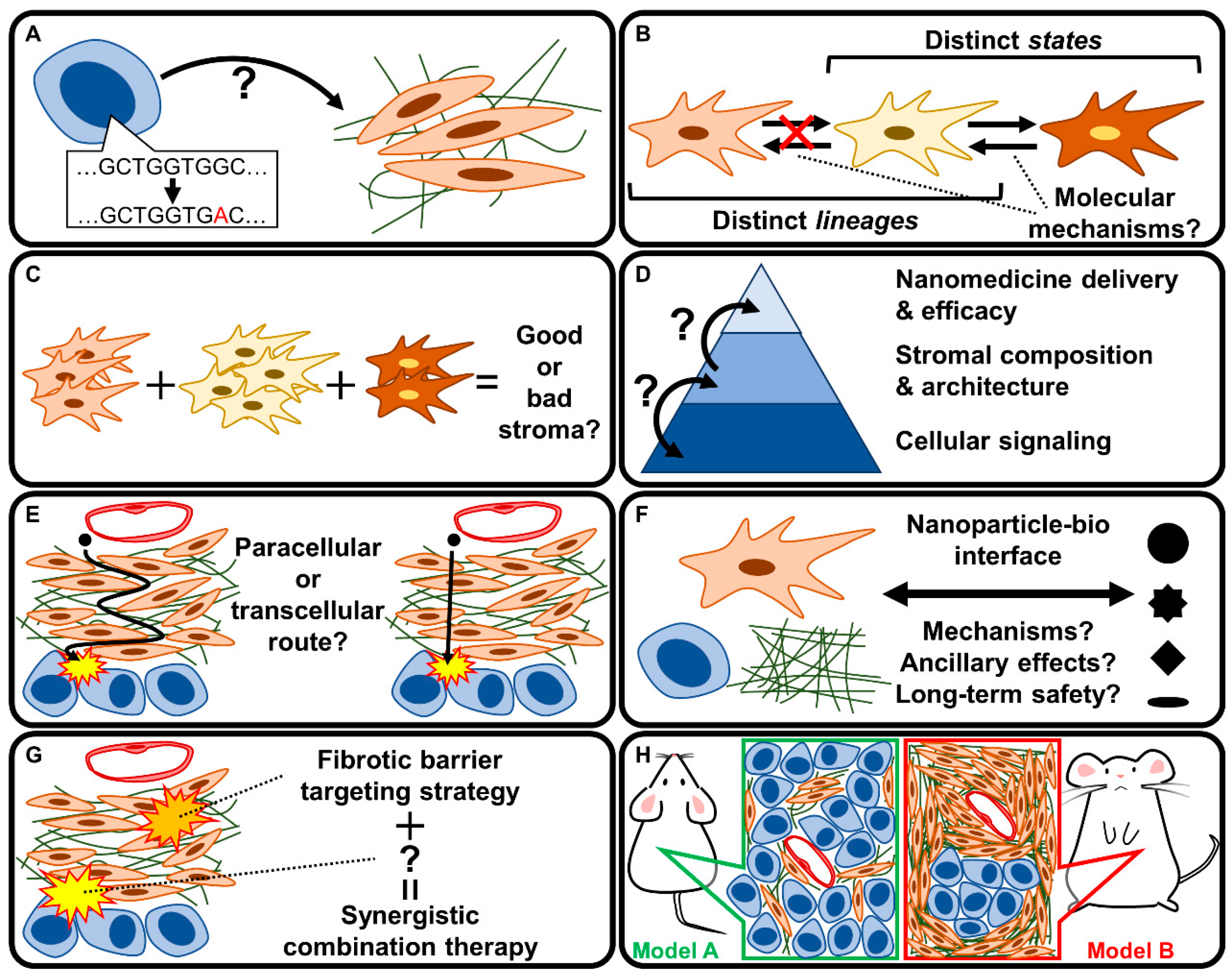 Cancers 15 00724 g012