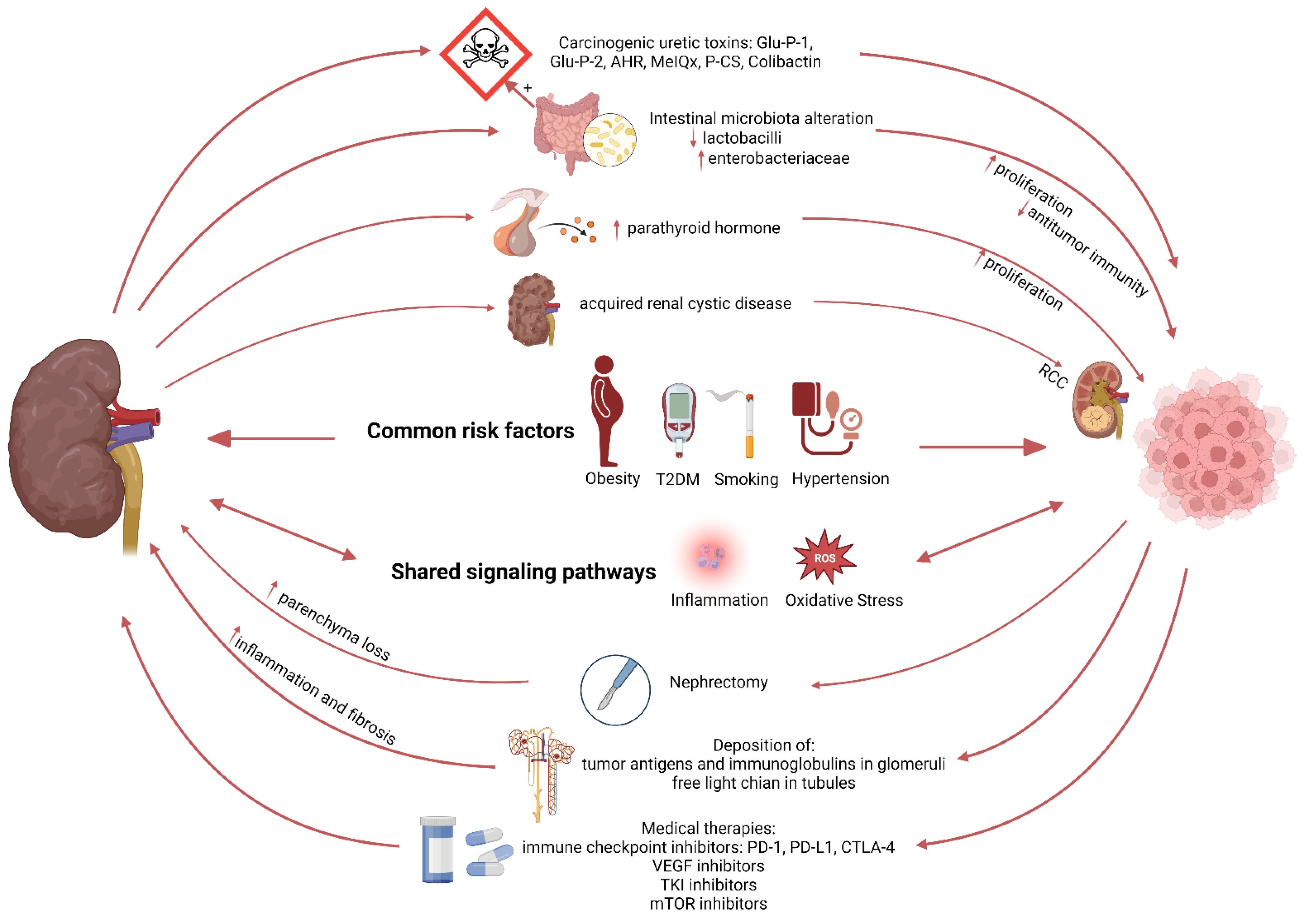 Cancers 15 00729 g002 Cancers 15 00729 g002