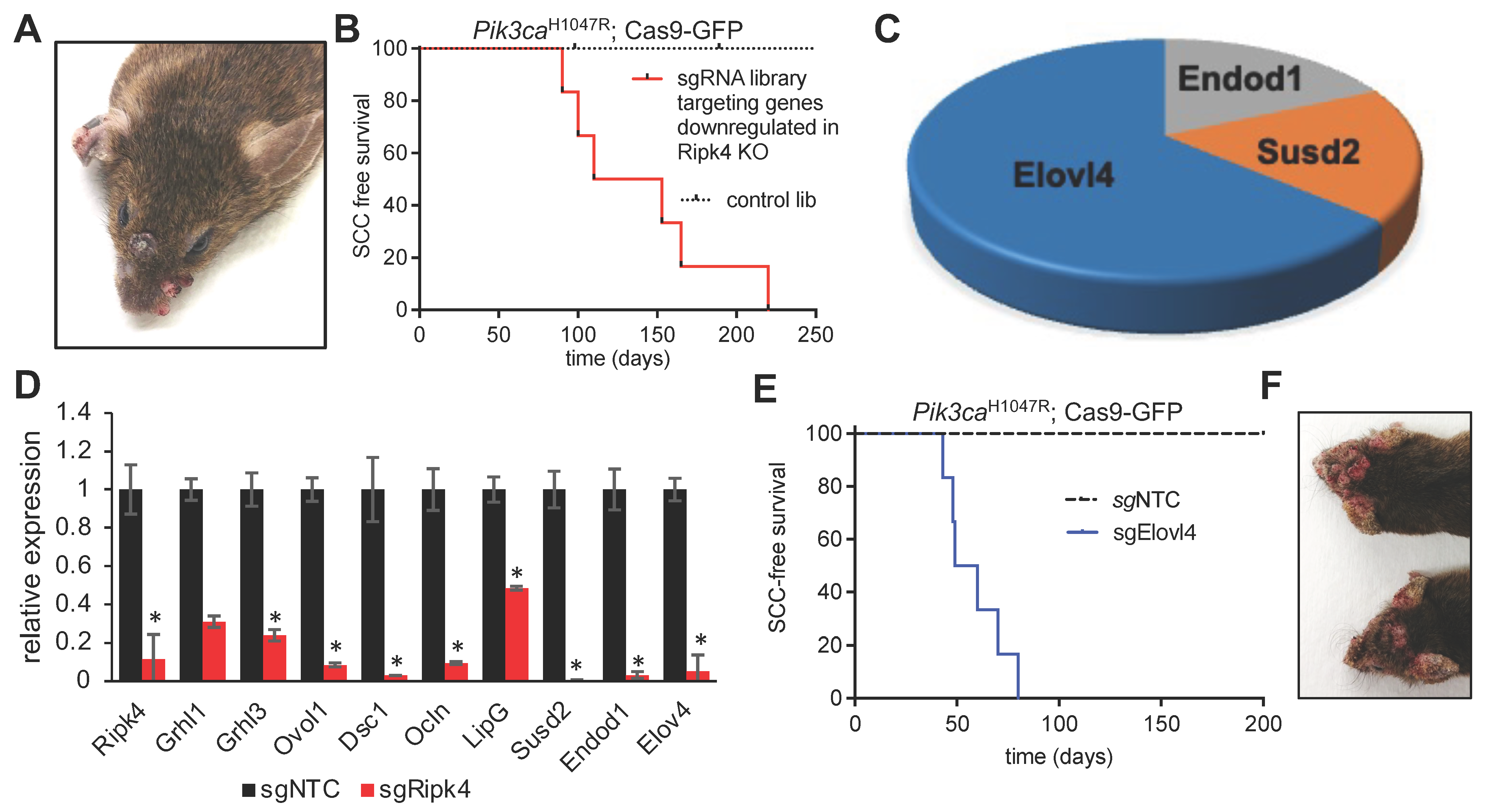 Cancers 15 00737 g003