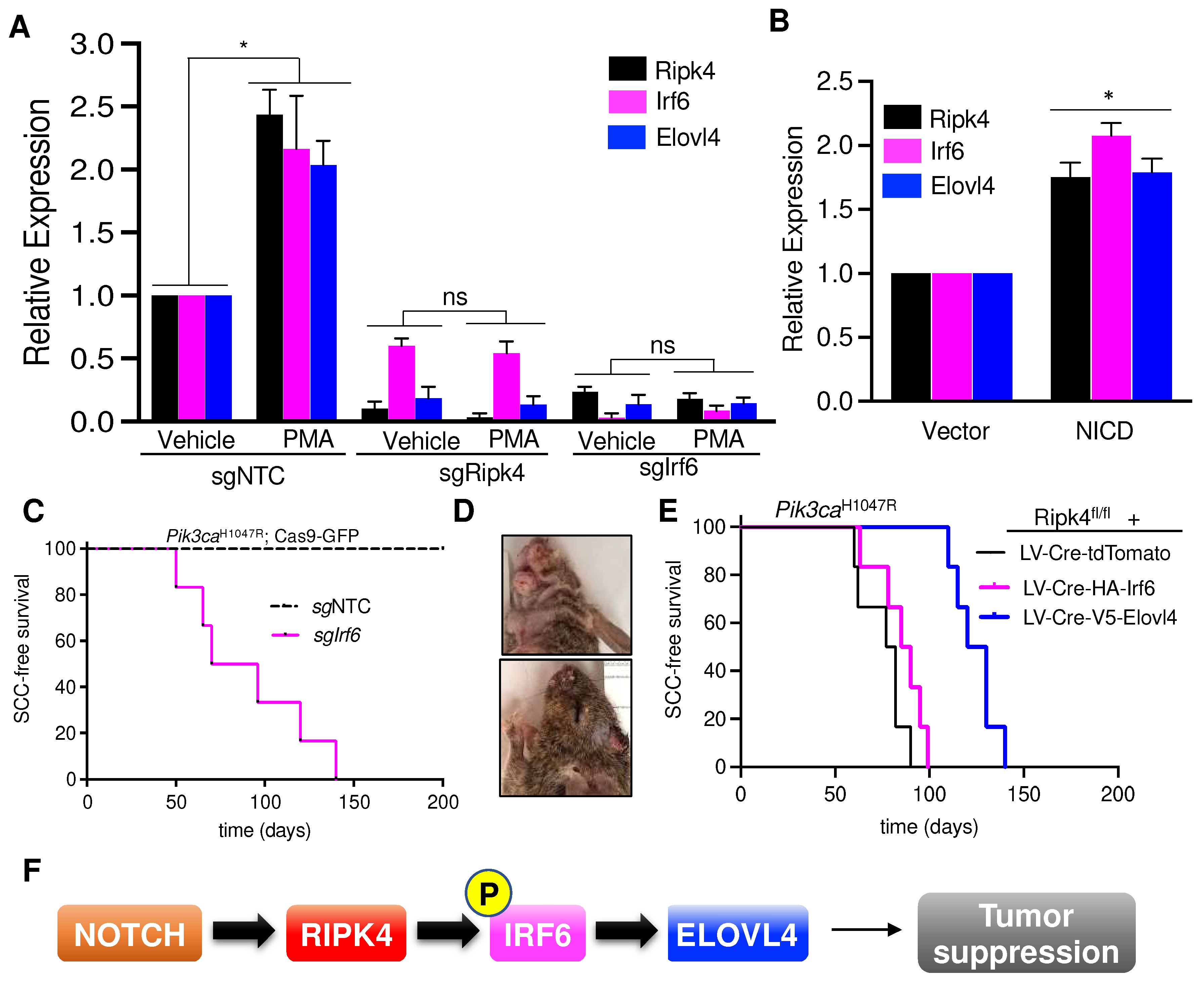 Cancers 15 00737 g004