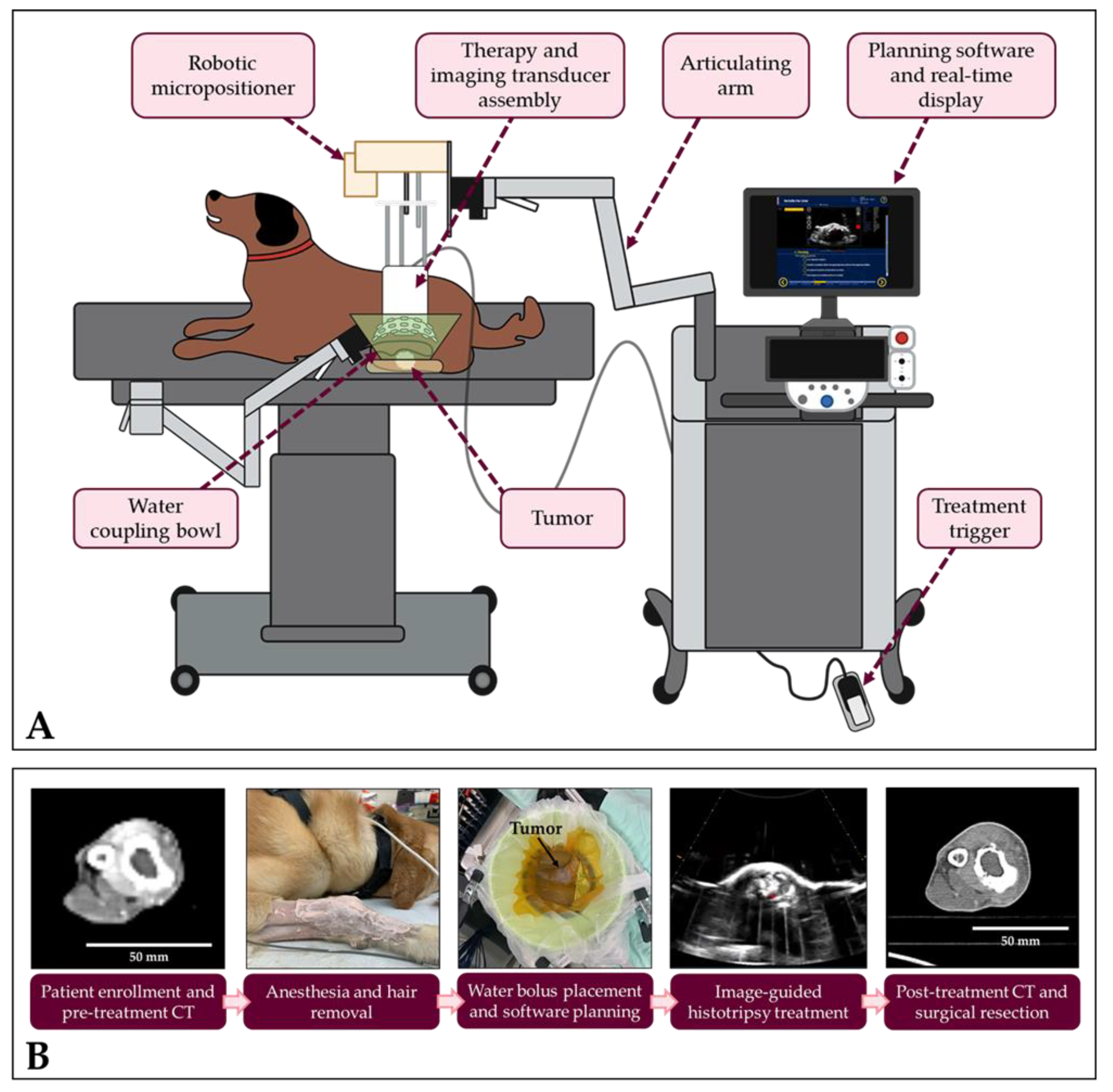 Cancers 15 00741 g001