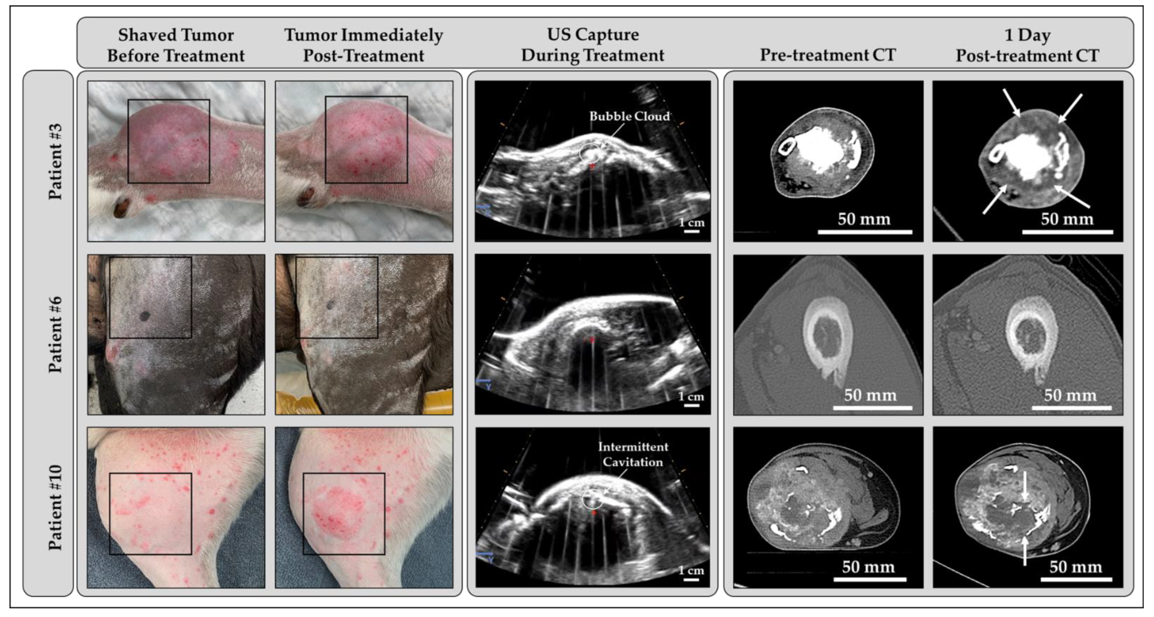 Cancers 15 00741 g002