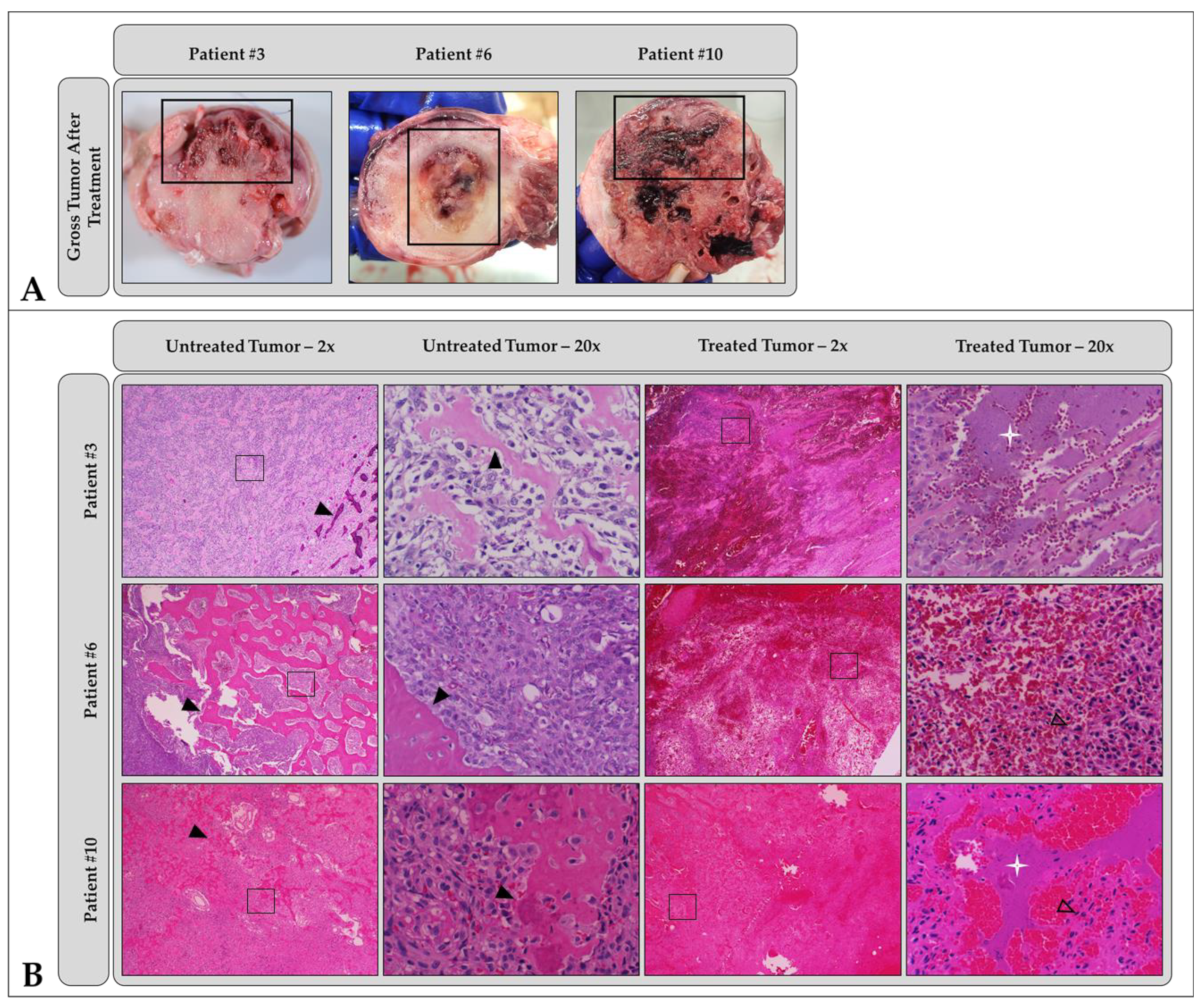 Cancers 15 00741 g003