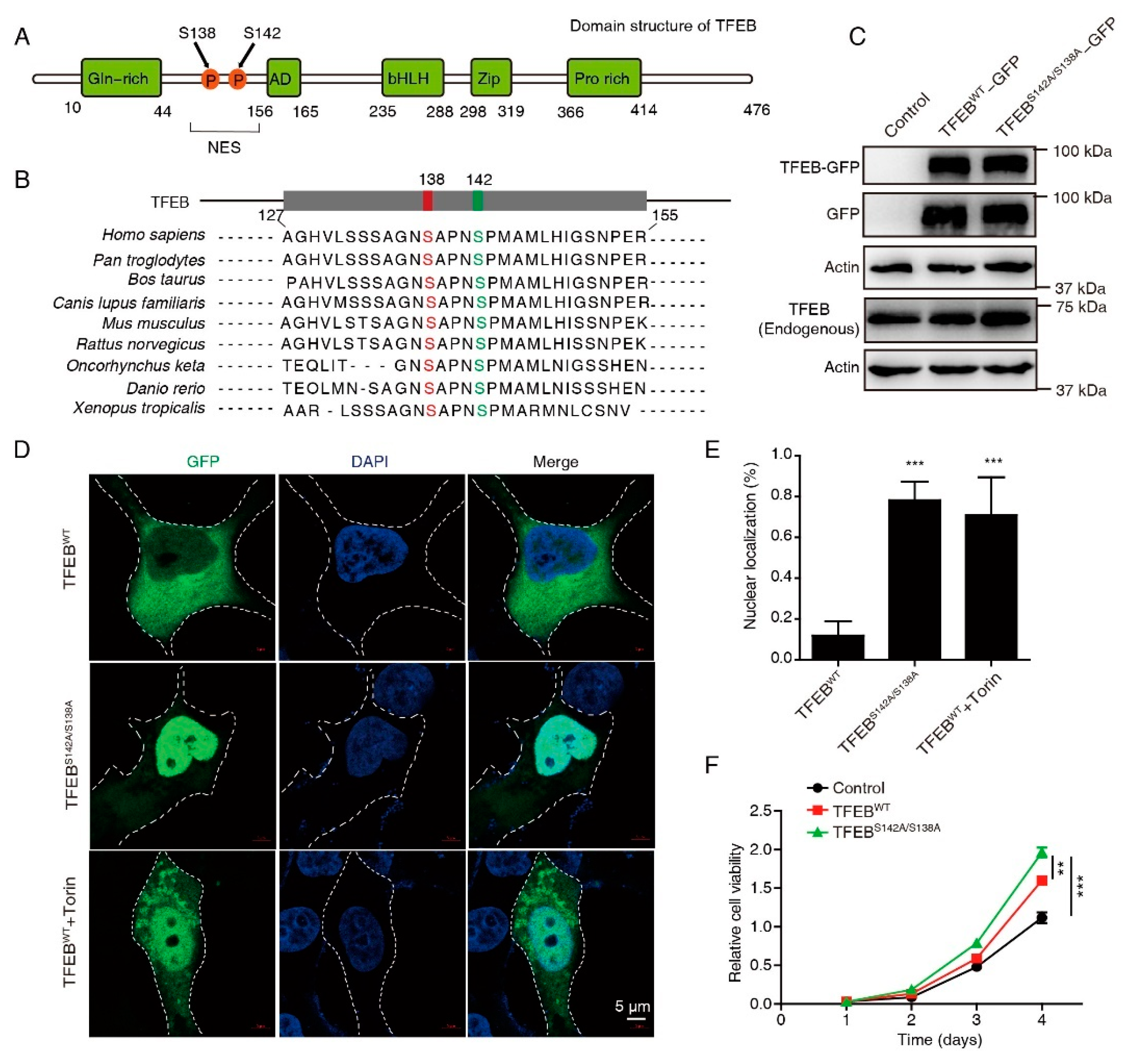 Cancers 15 00744 g001