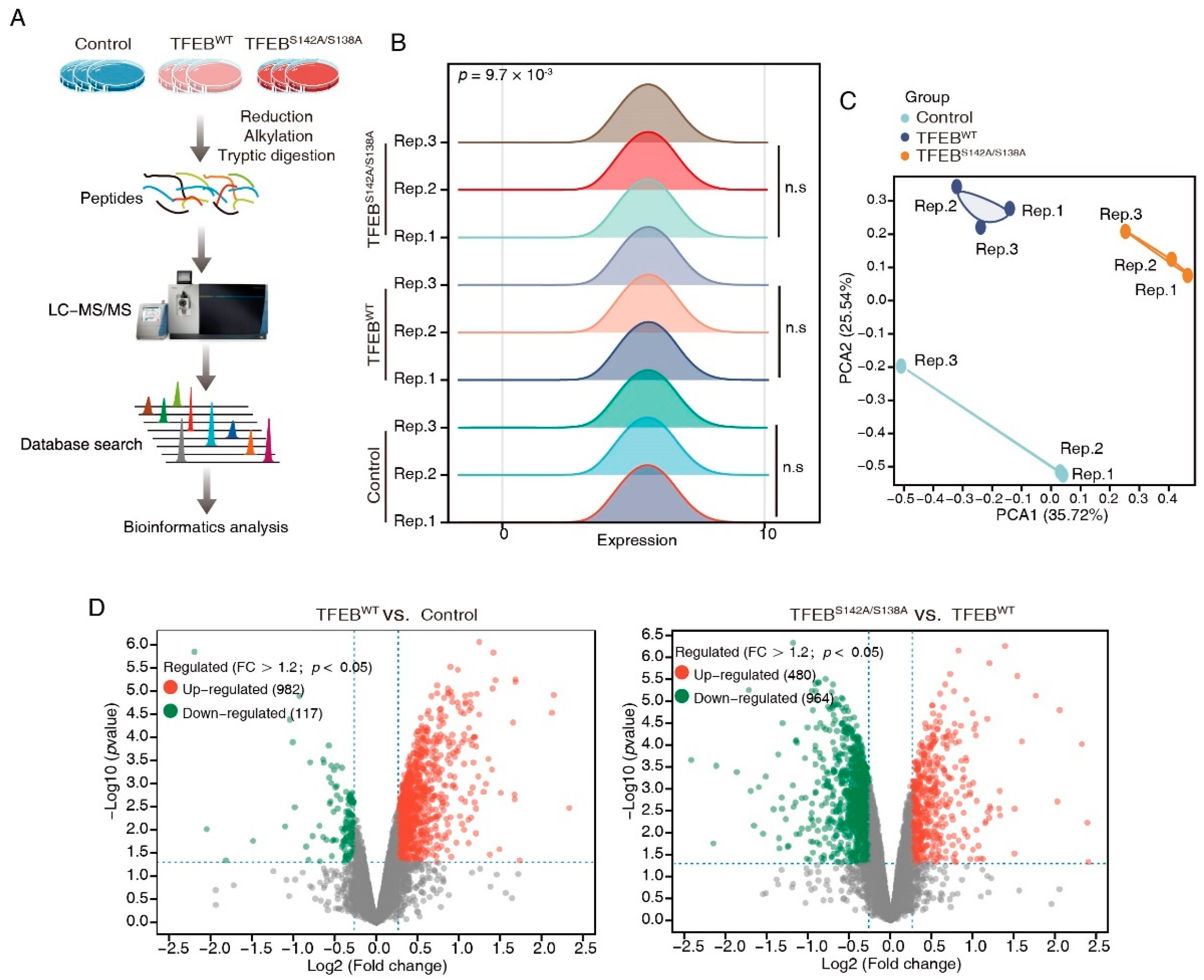 Cancers 15 00744 g002a