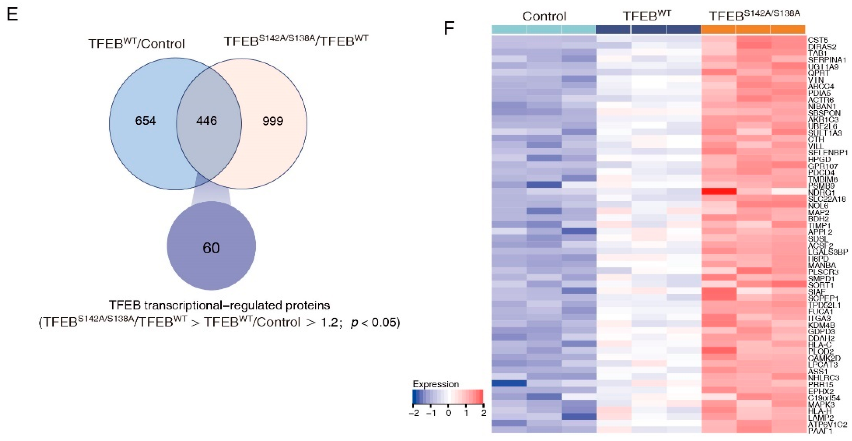 Cancers 15 00744 g002b