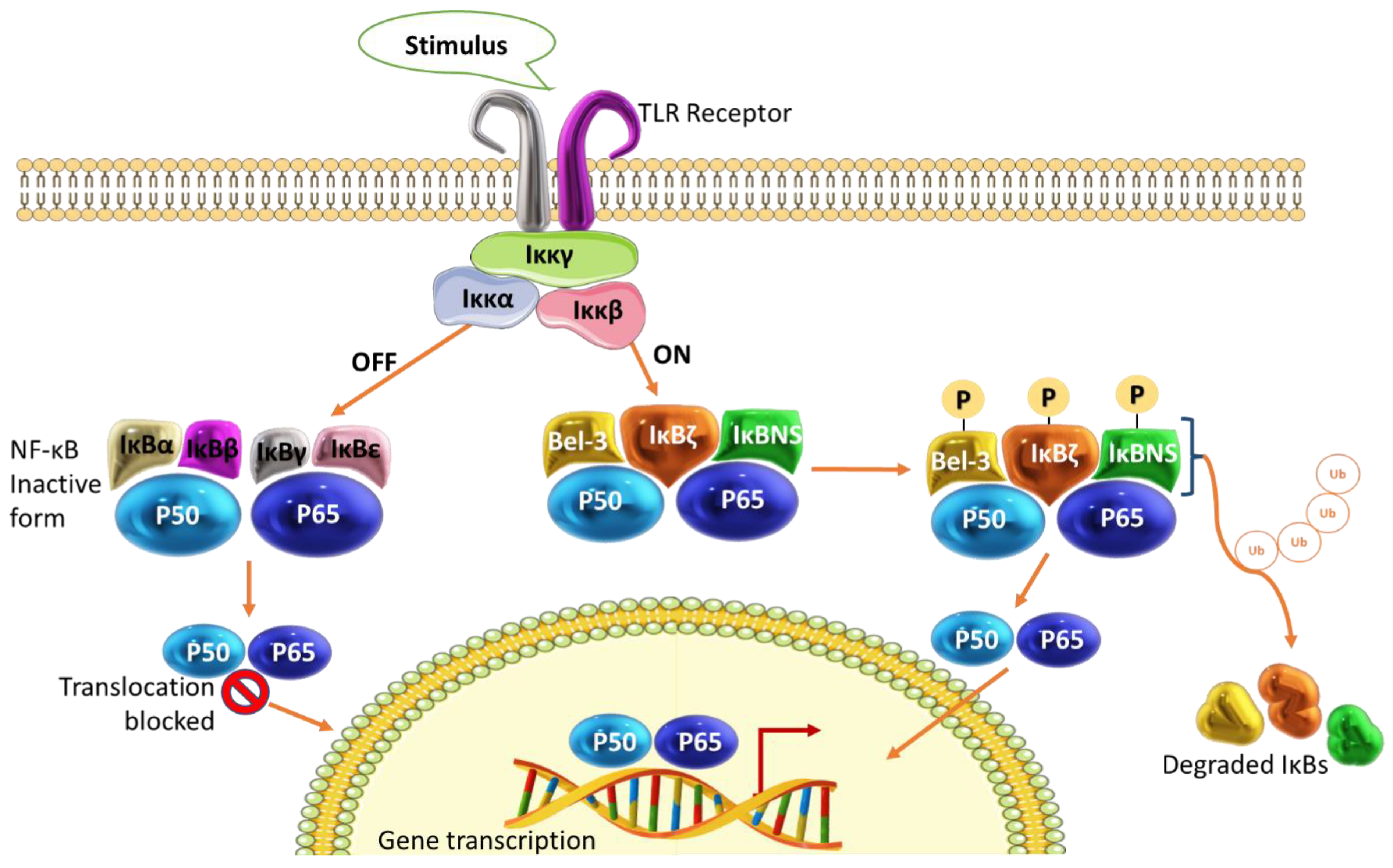 Cancers 15 00748 g002 Cancers 15 00748 g002