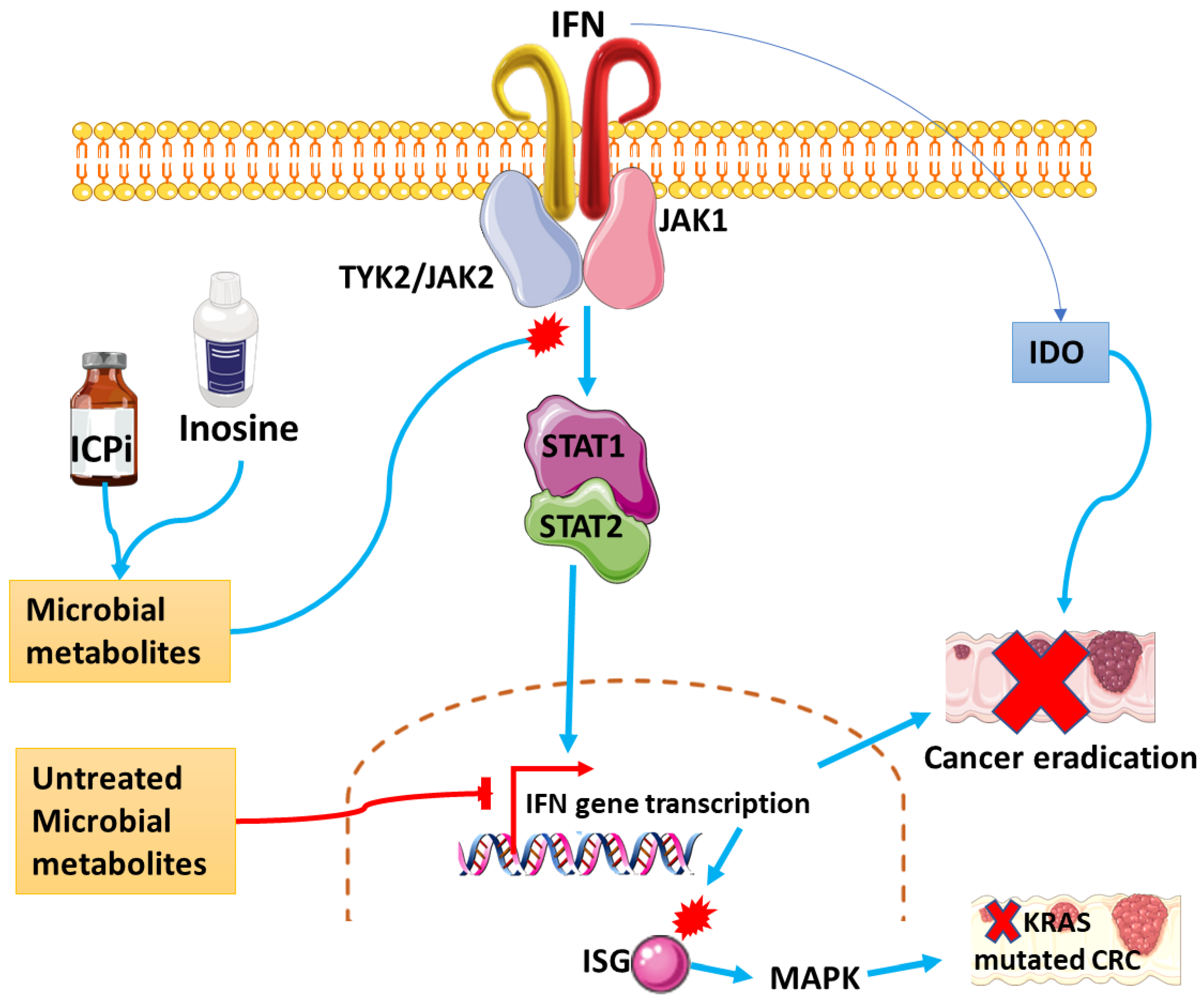 Cancers 15 00748 g005 Cancers 15 00748 g005