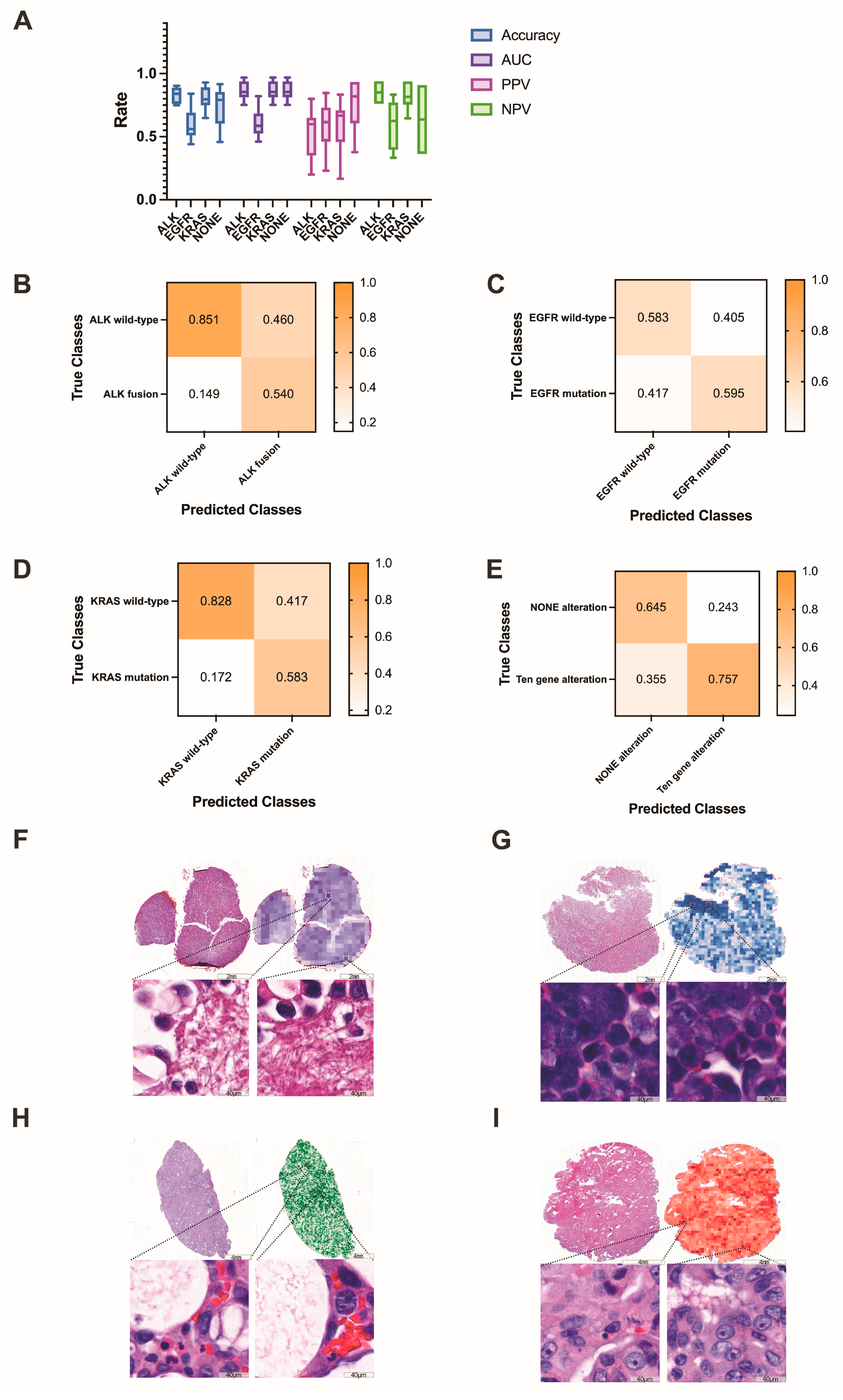 Cancers 15 00752 g008