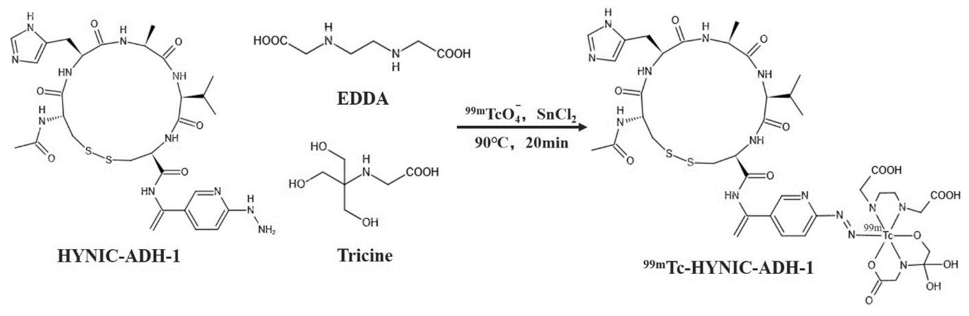 Cancers 15 00755 g001 Cancers 15 00755 g001