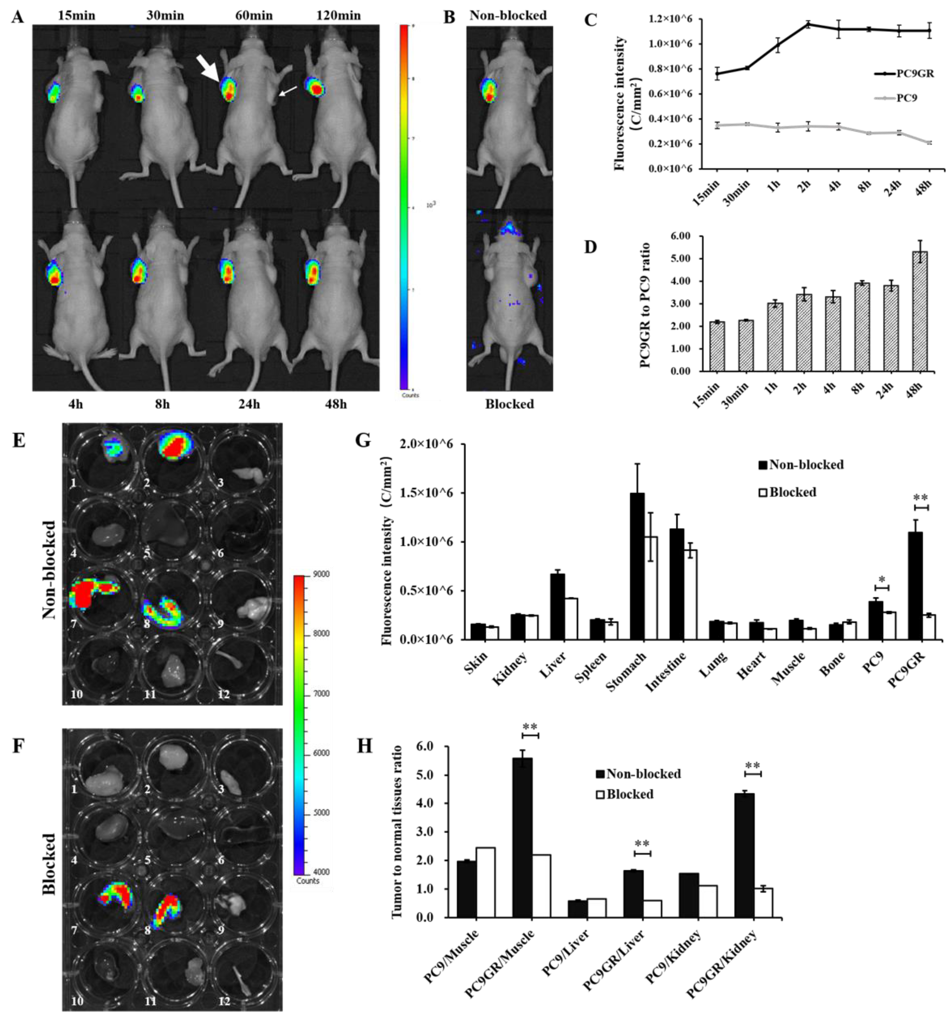 Cancers 15 00755 g006 Cancers 15 00755 g006