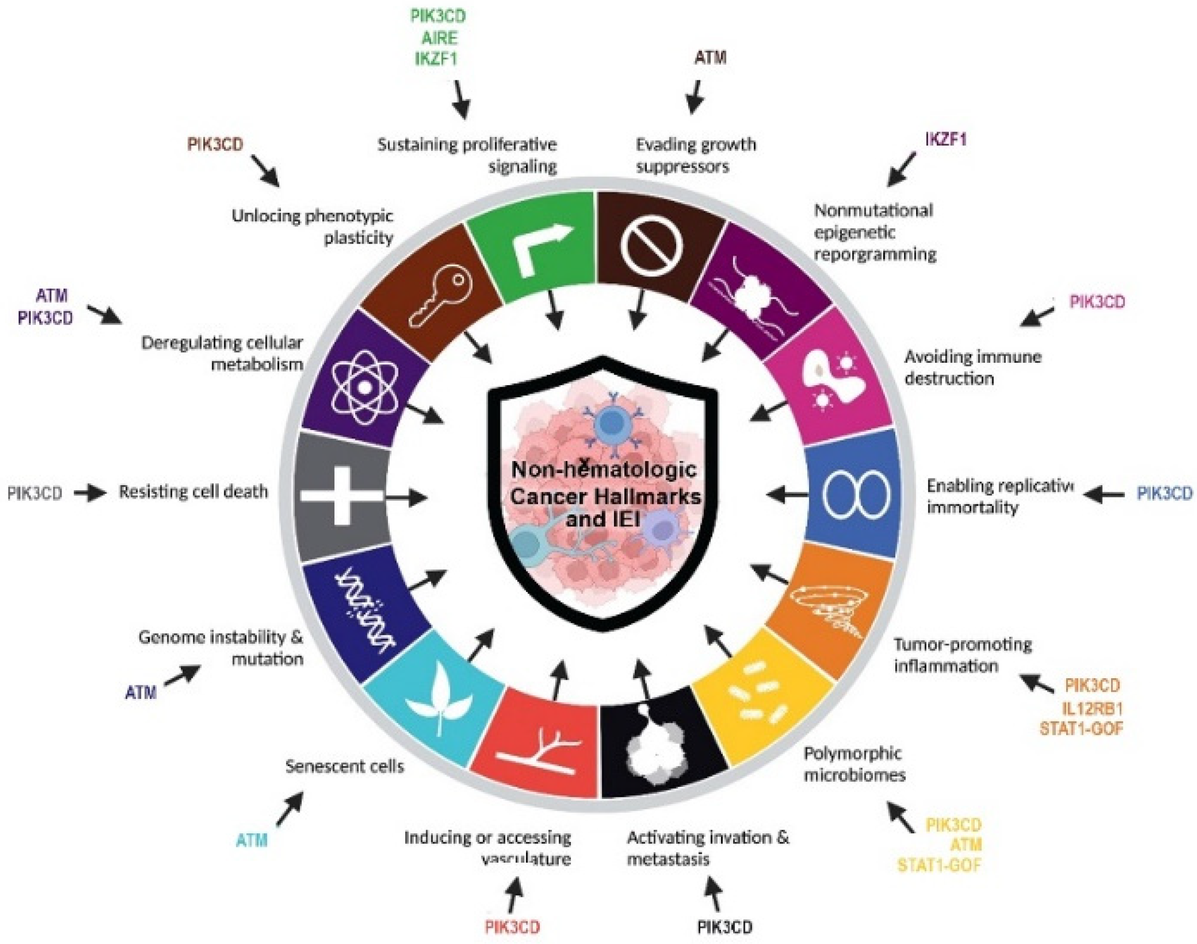 Cancers 15 00764 g003