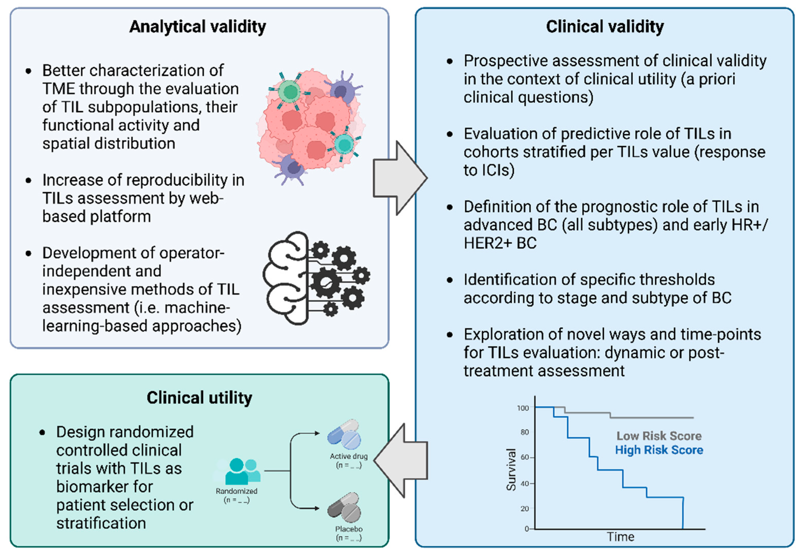 Cancers 15 00767 g001 Cancers 15 00767 g001