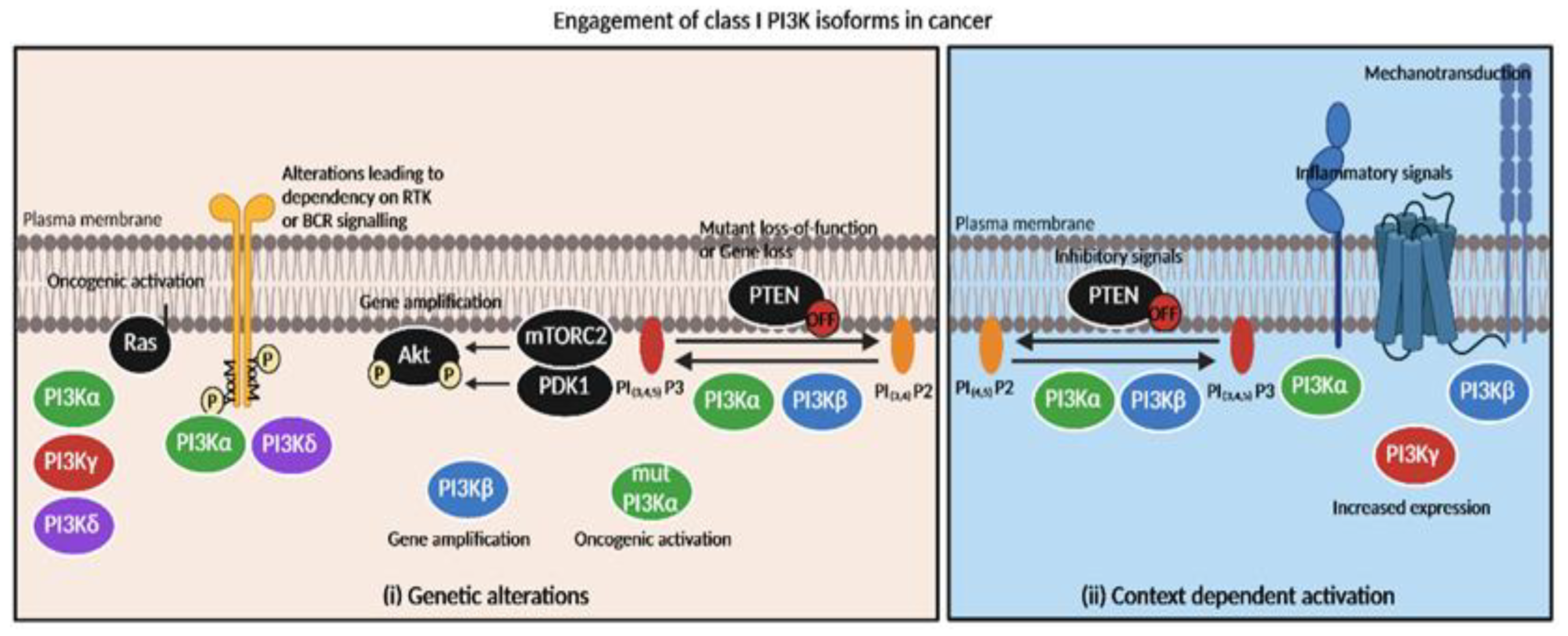 Cancers 15 00784 g002