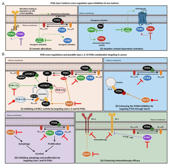 Cancers 15 00784 g003