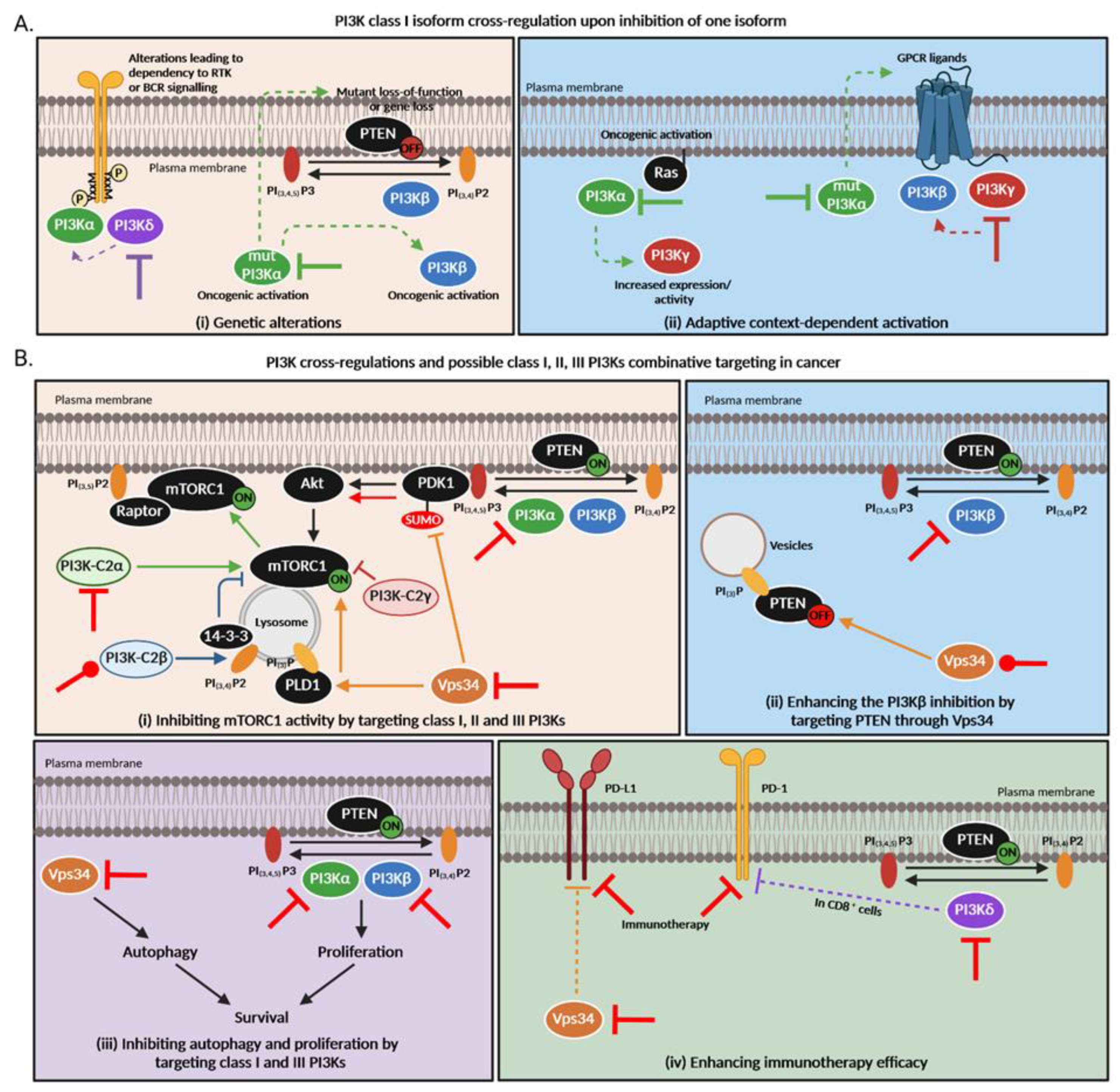 Cancers 15 00784 g003