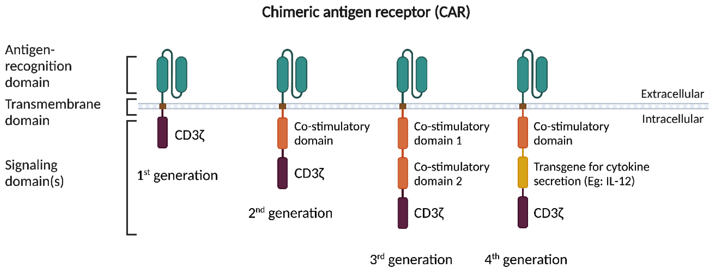 Cancers 15 00794 g001 Cancers 15 00794 g001