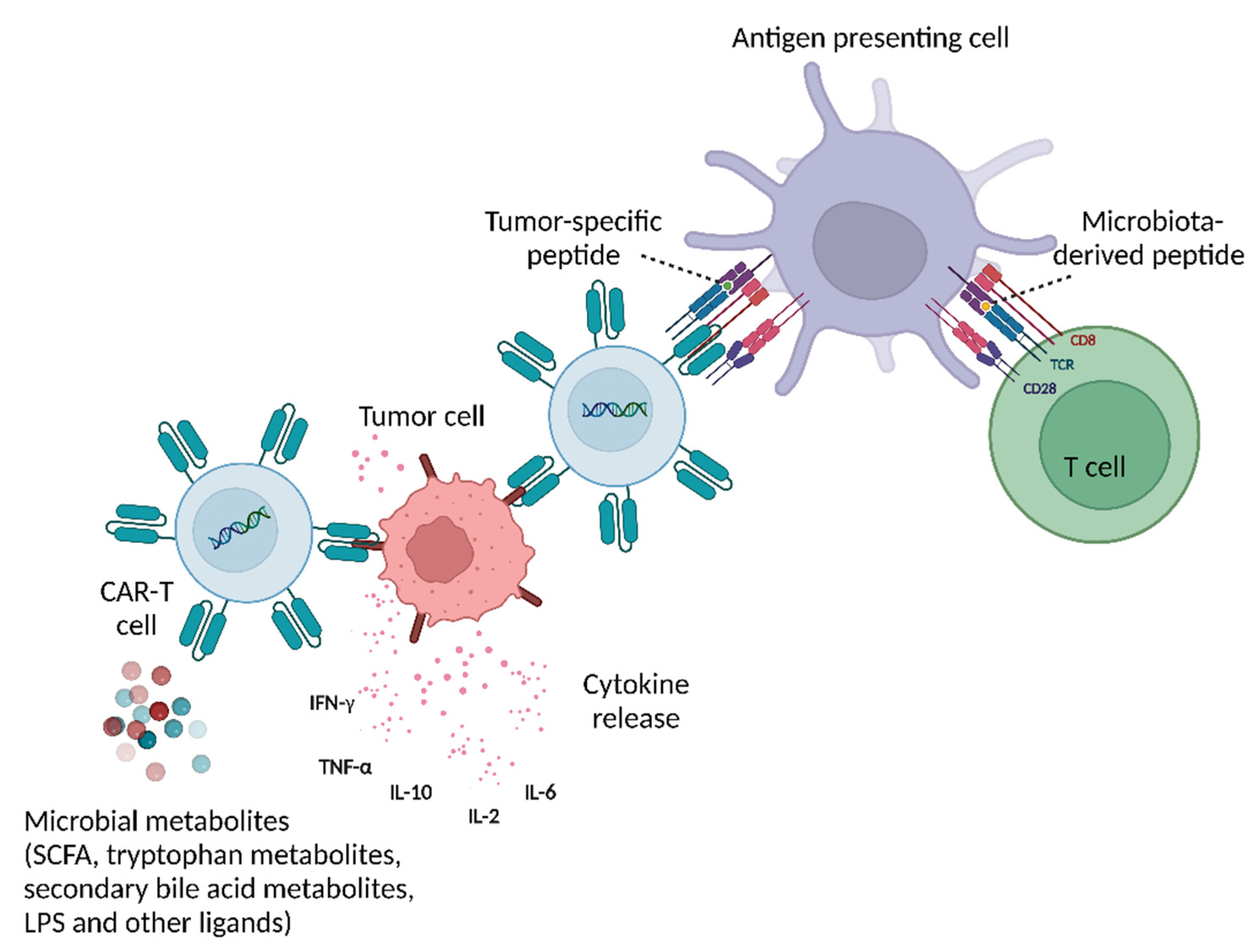 Cancers 15 00794 g003 Cancers 15 00794 g003