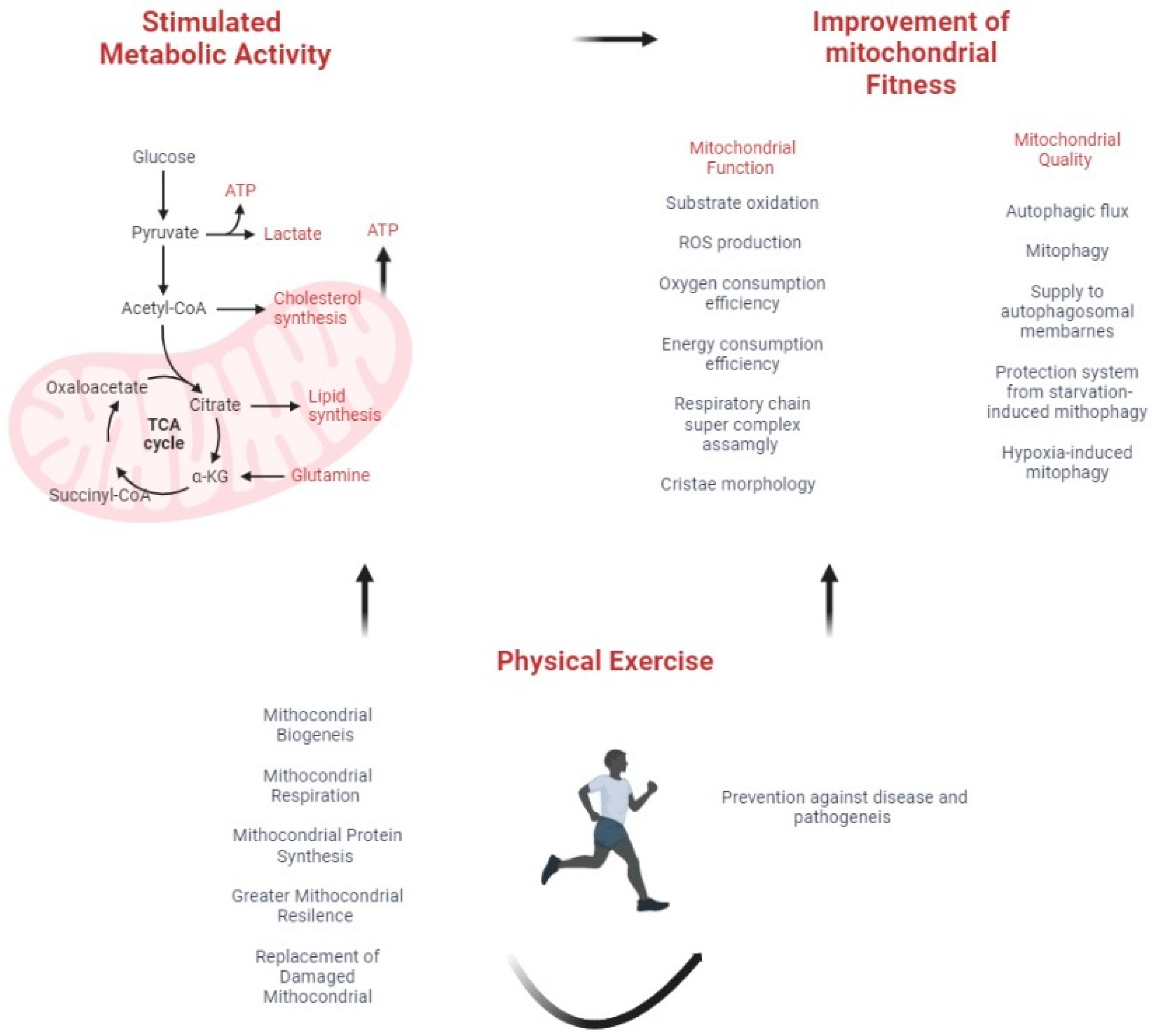 Cancers 15 00814 g002 Cancers 15 00814 g002