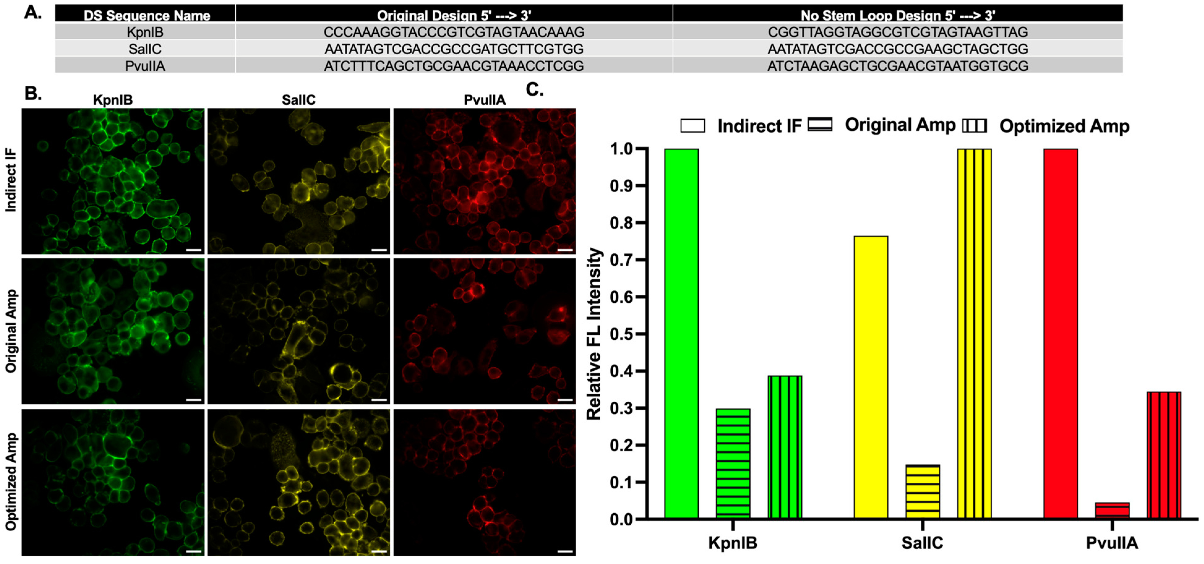Cancers 15 00827 g005 Cancers 15 00827 g005