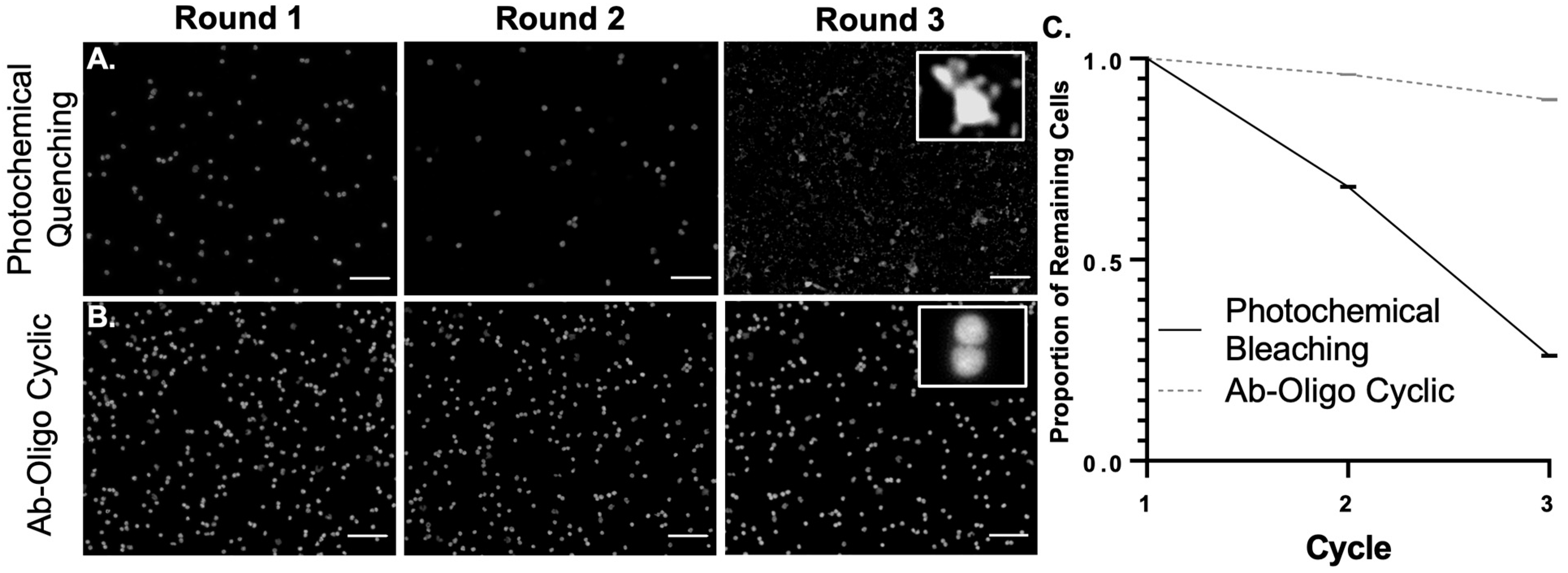 Cancers 15 00827 g007 Cancers 15 00827 g007