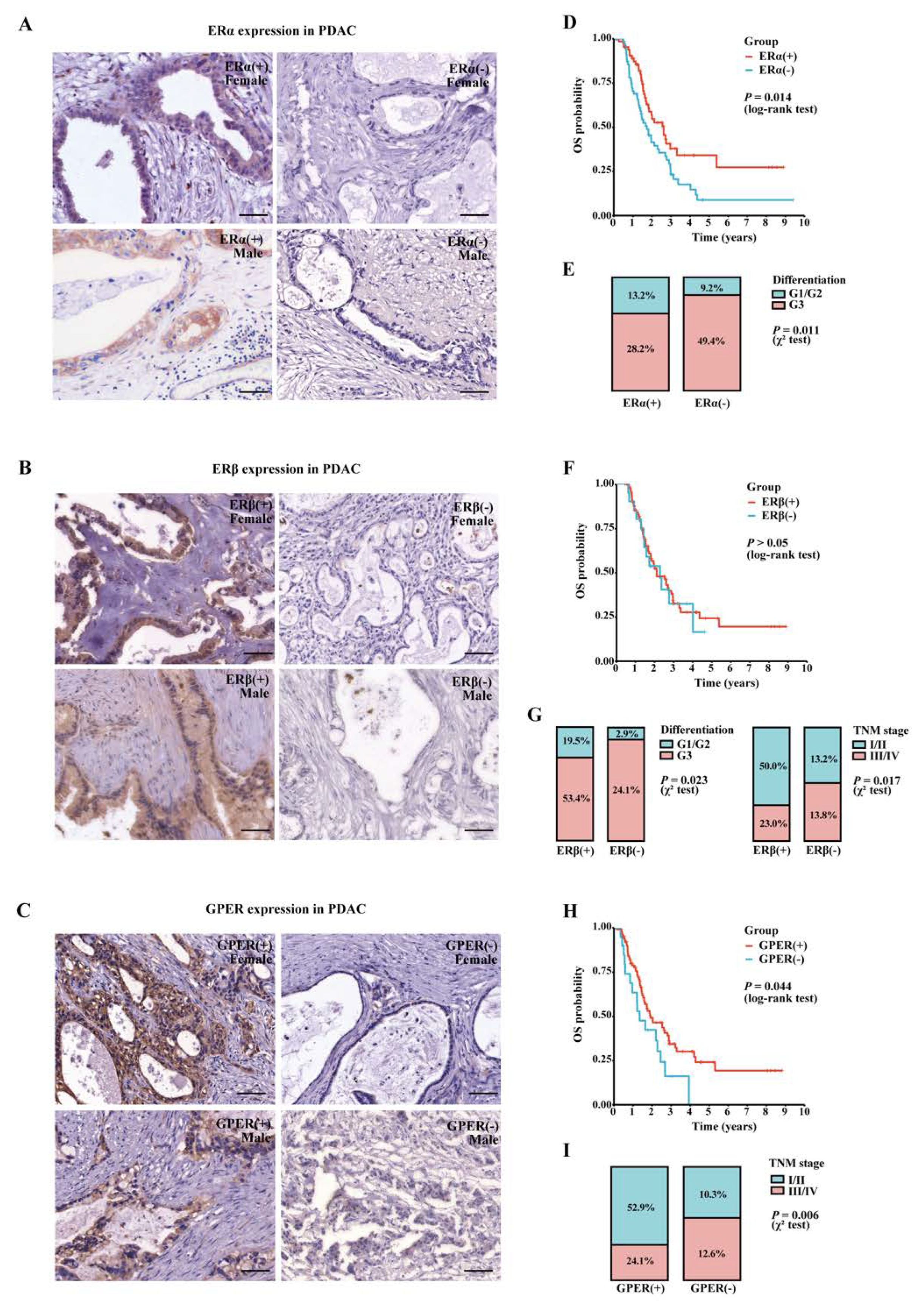 Cancers 15 00828 g003