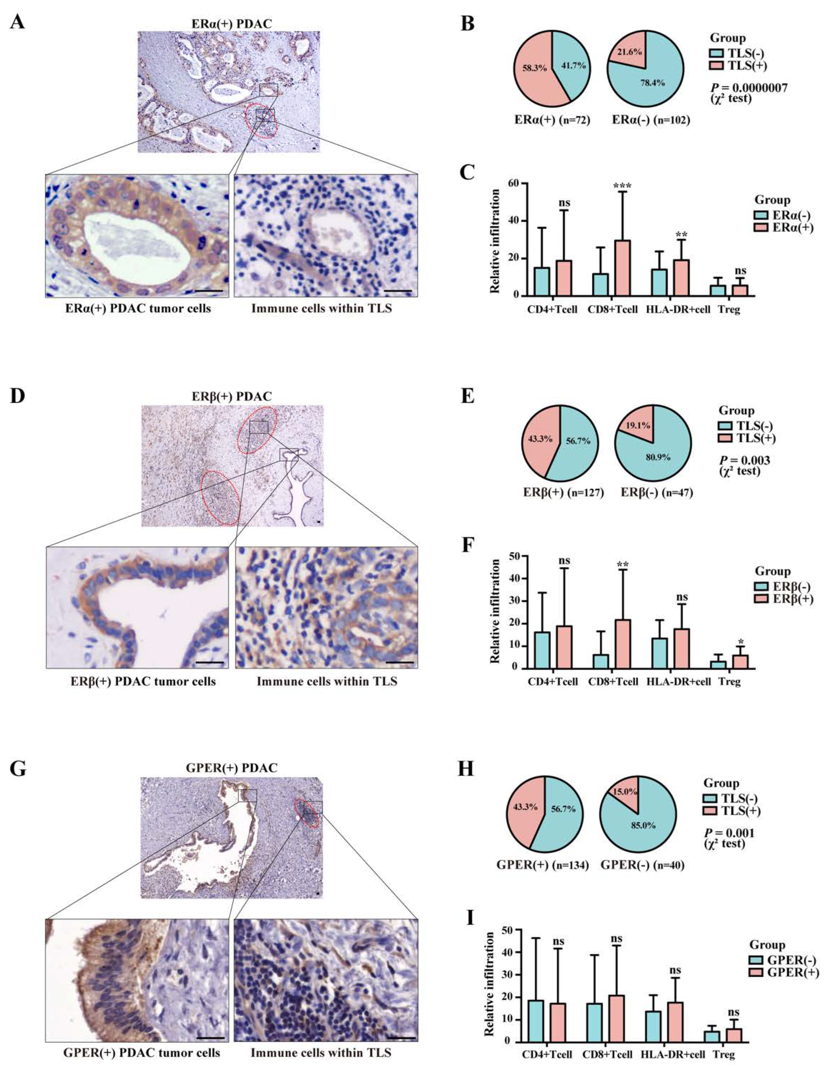 Cancers 15 00828 g004