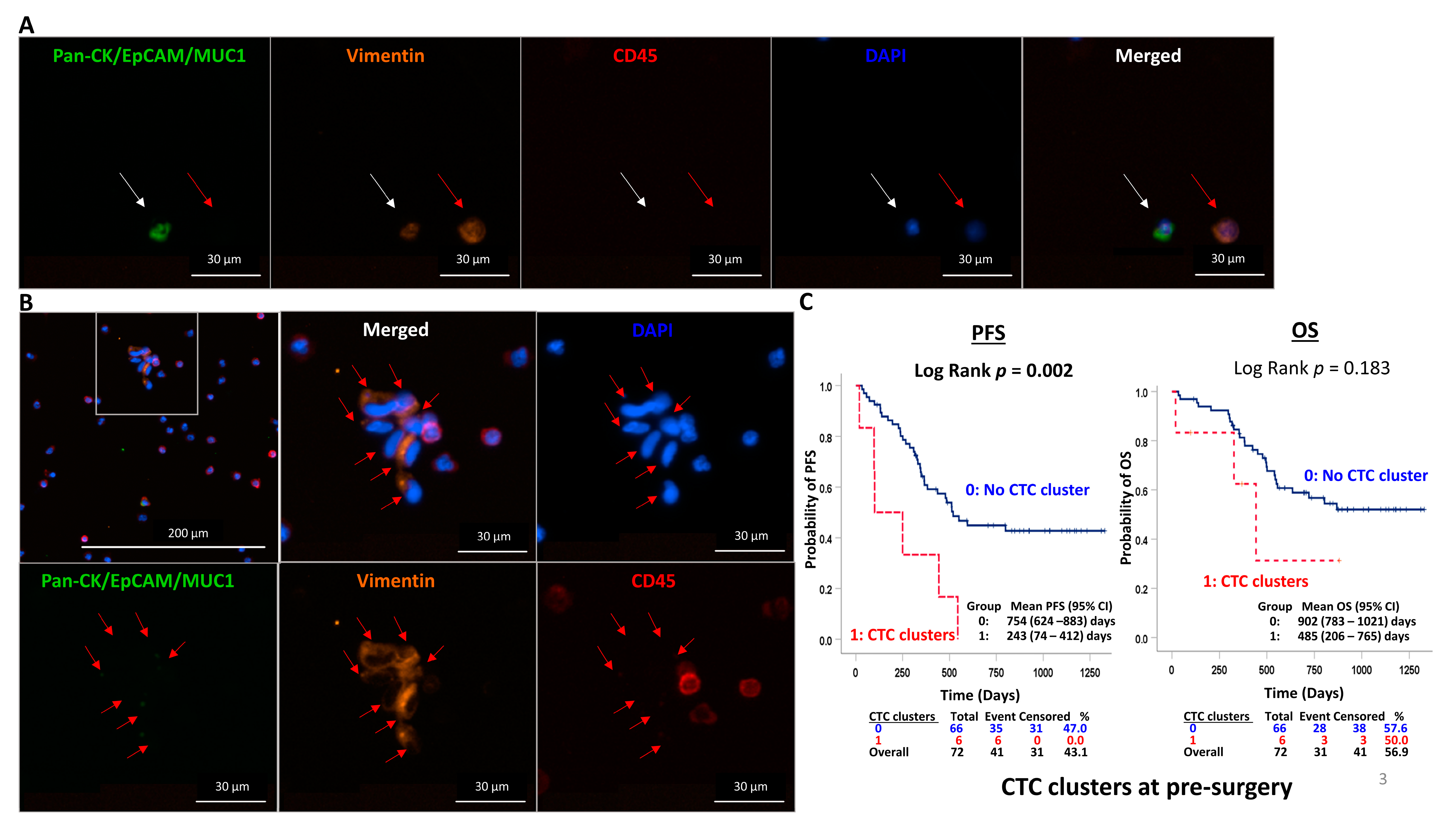 Cancers 15 00832 g002