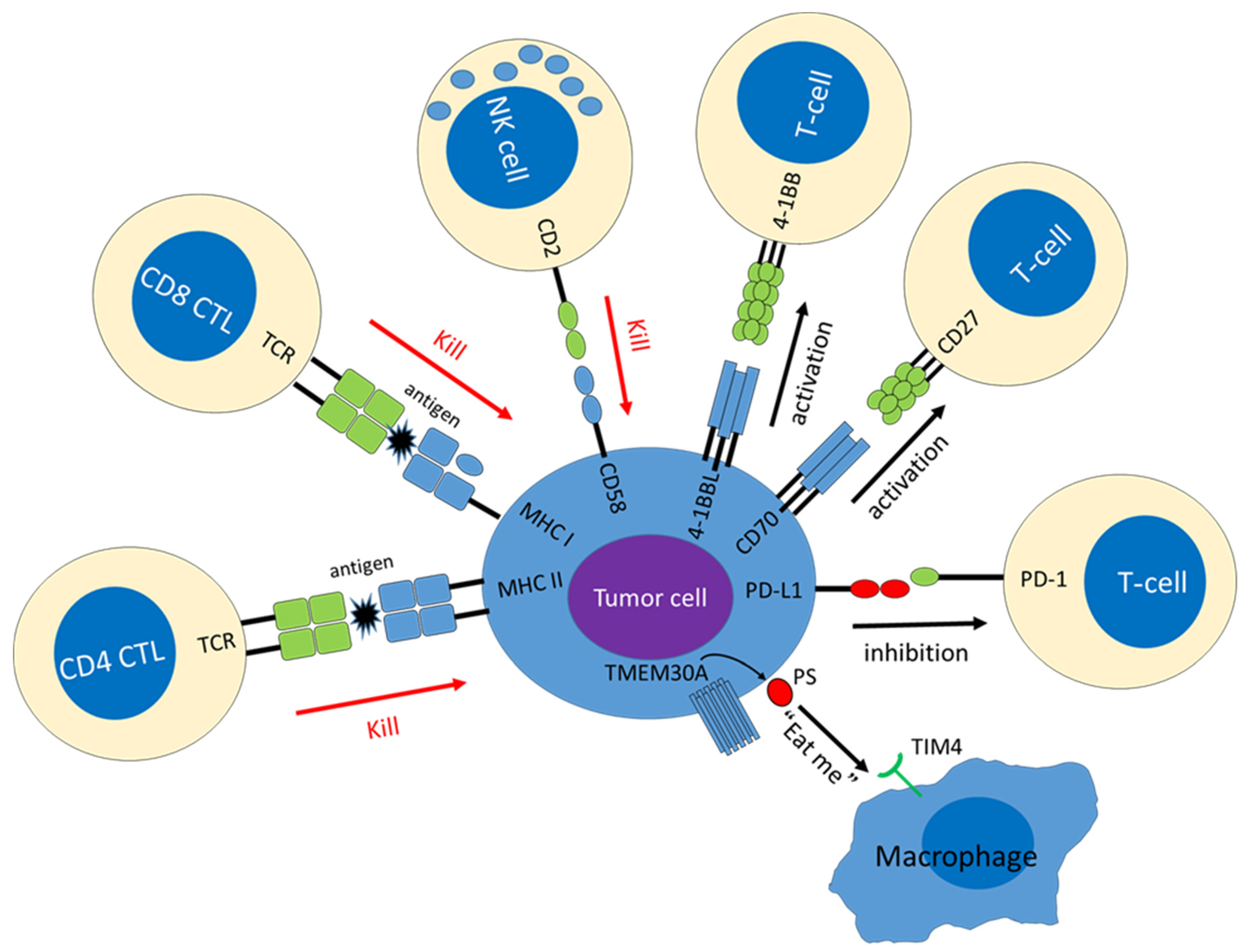 Cancers 15 00835 g001