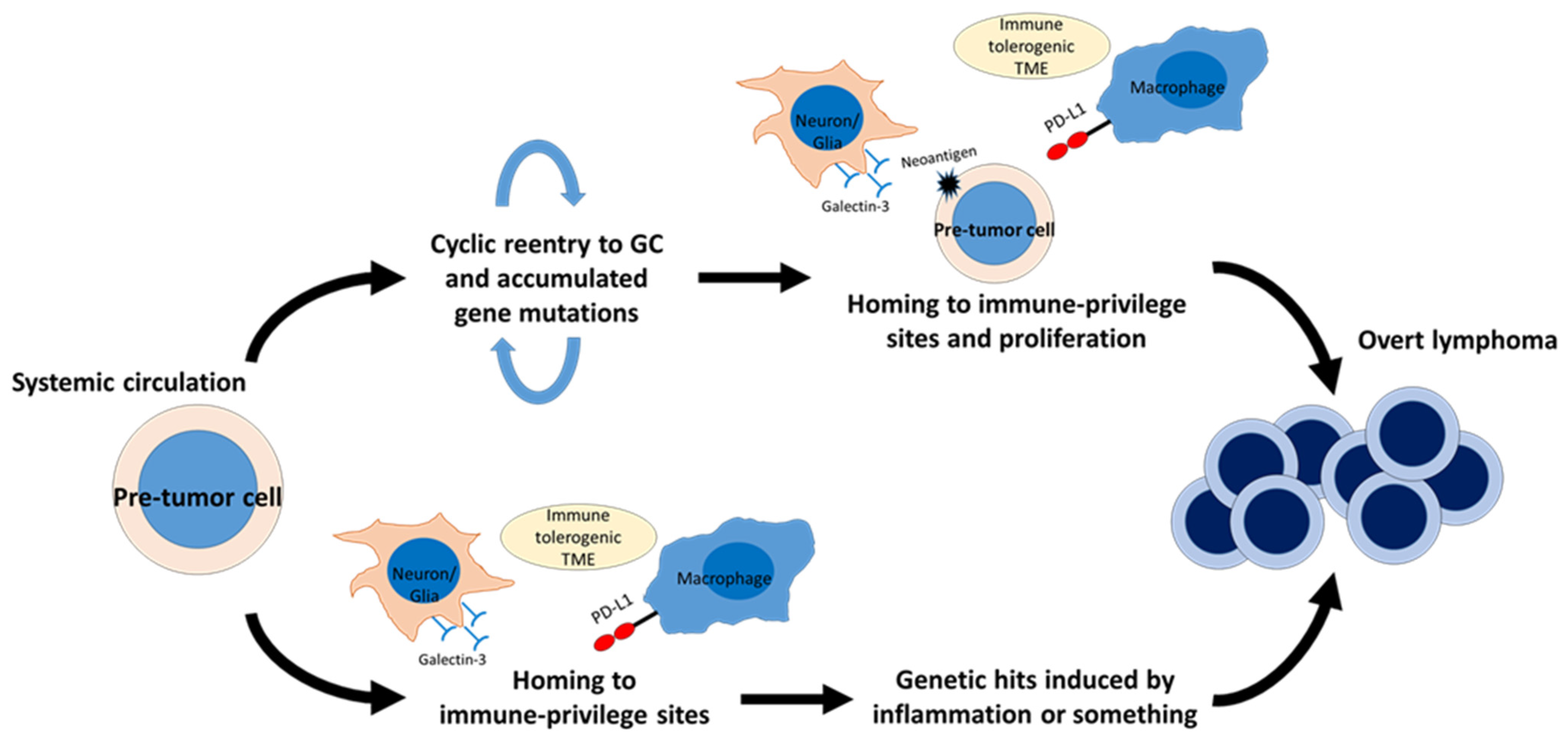 Cancers 15 00835 g002