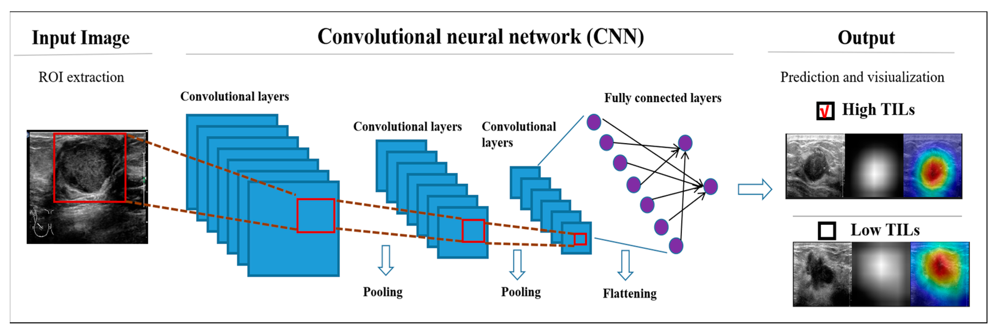 Cancers 15 00838 g002