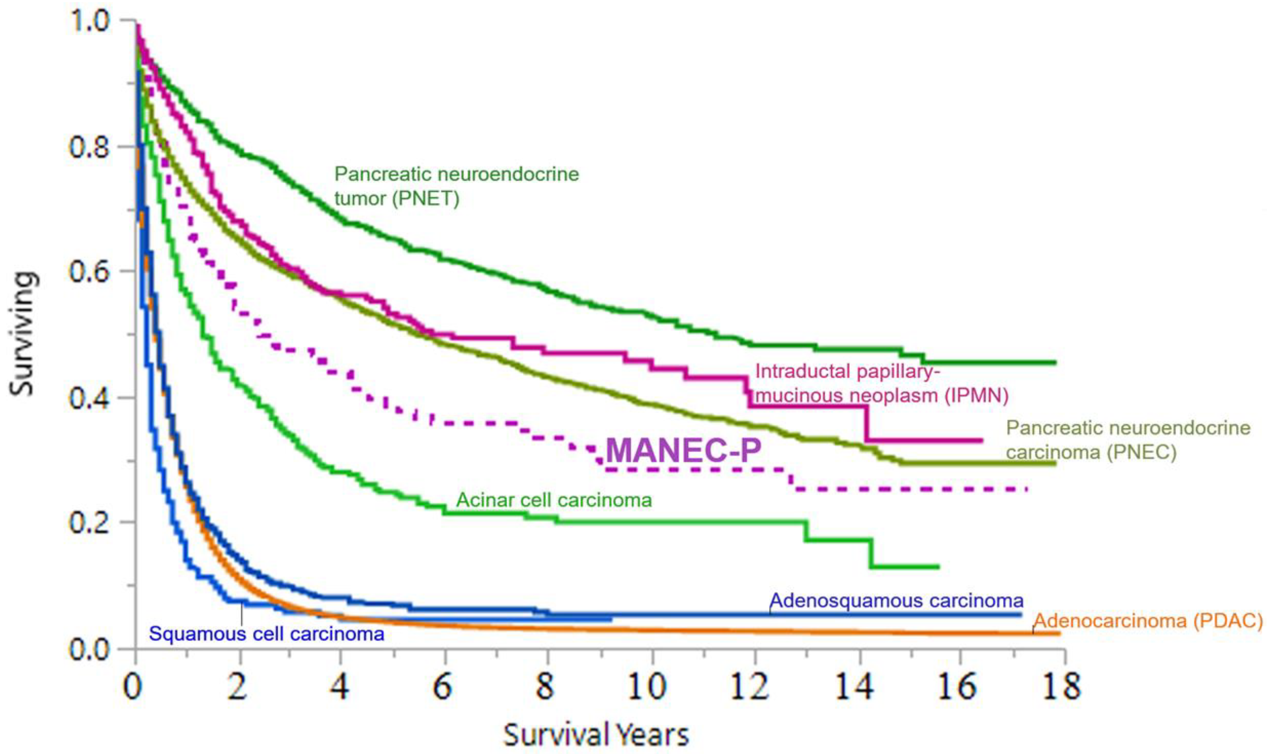 Cancers 15 00840 g005 Cancers 15 00840 g005