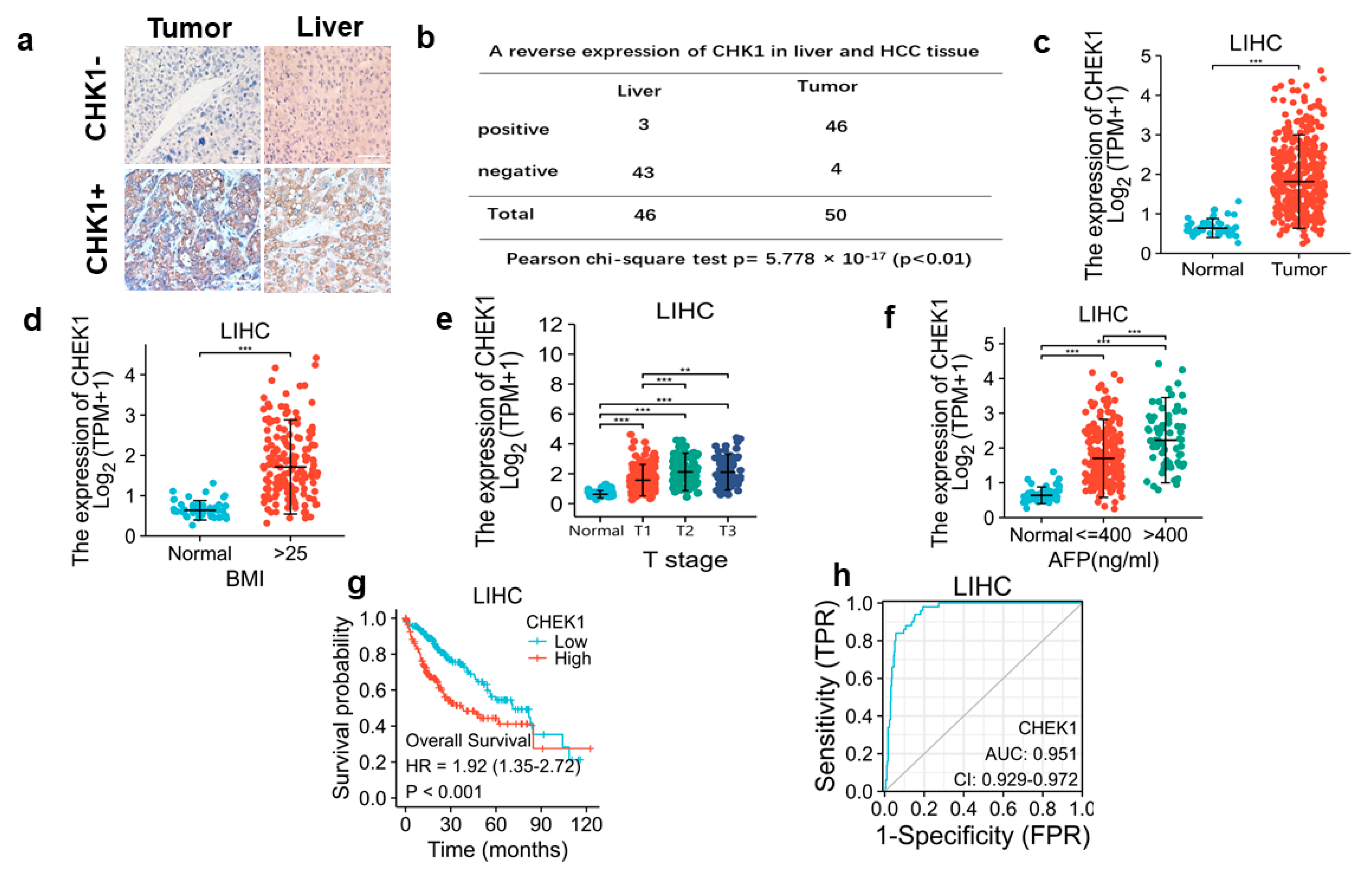 Cancers 15 00850 g001 Cancers 15 00850 g001