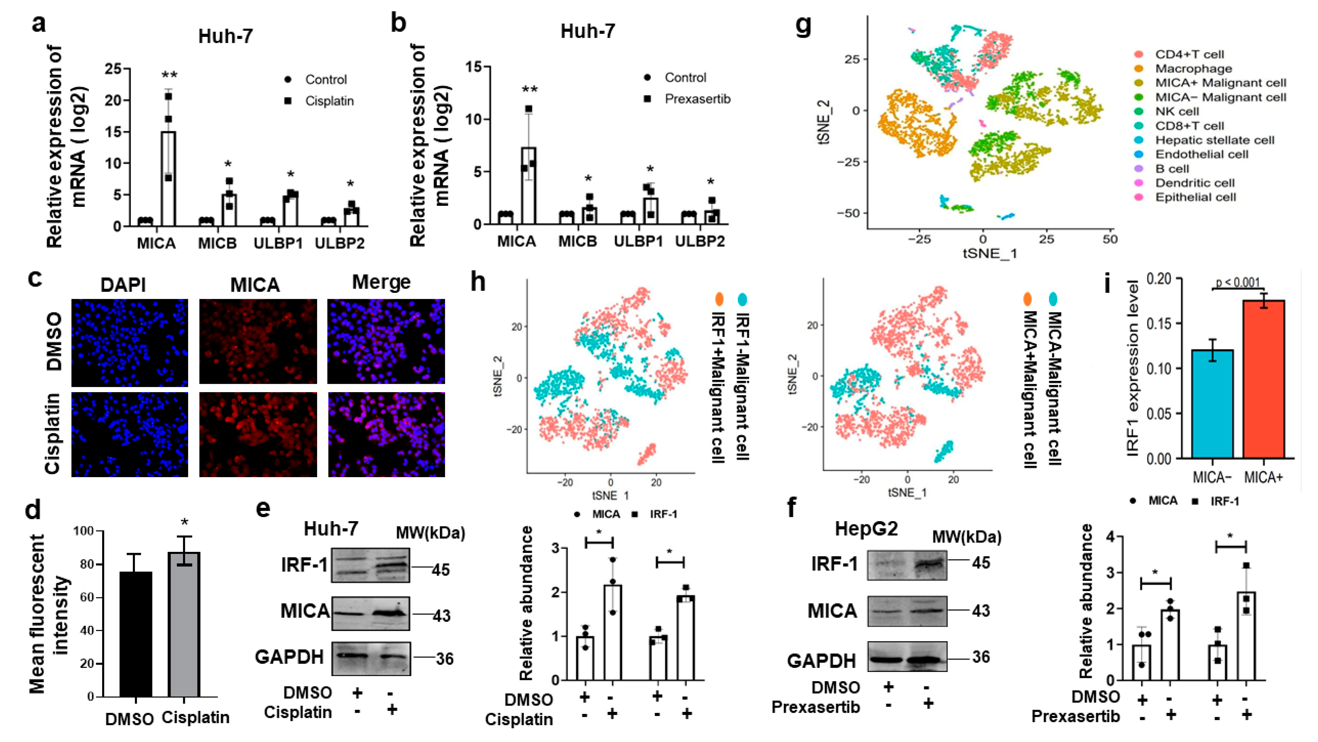 Cancers 15 00850 g004 Cancers 15 00850 g004