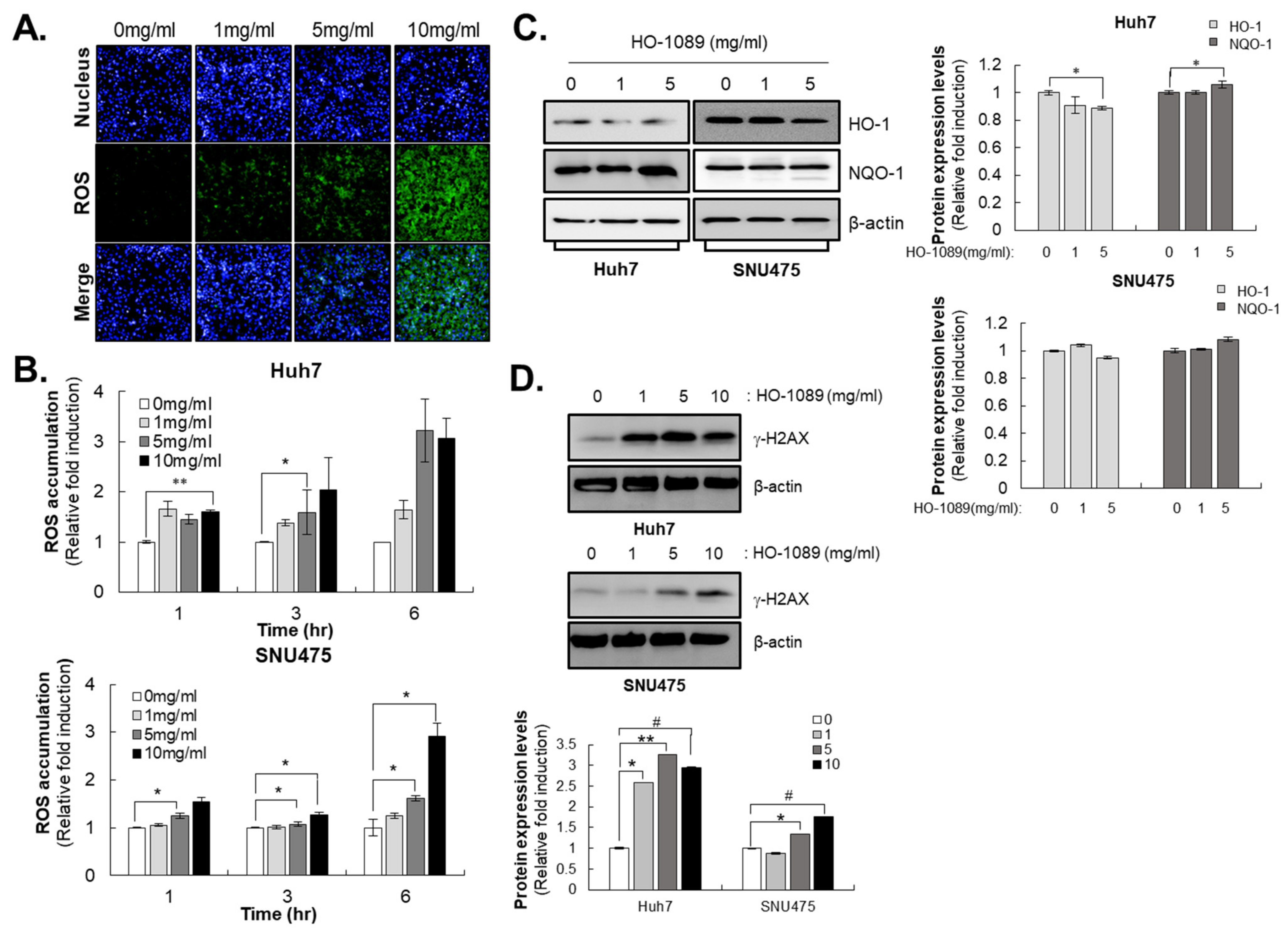 Cancers 15 00851 g002