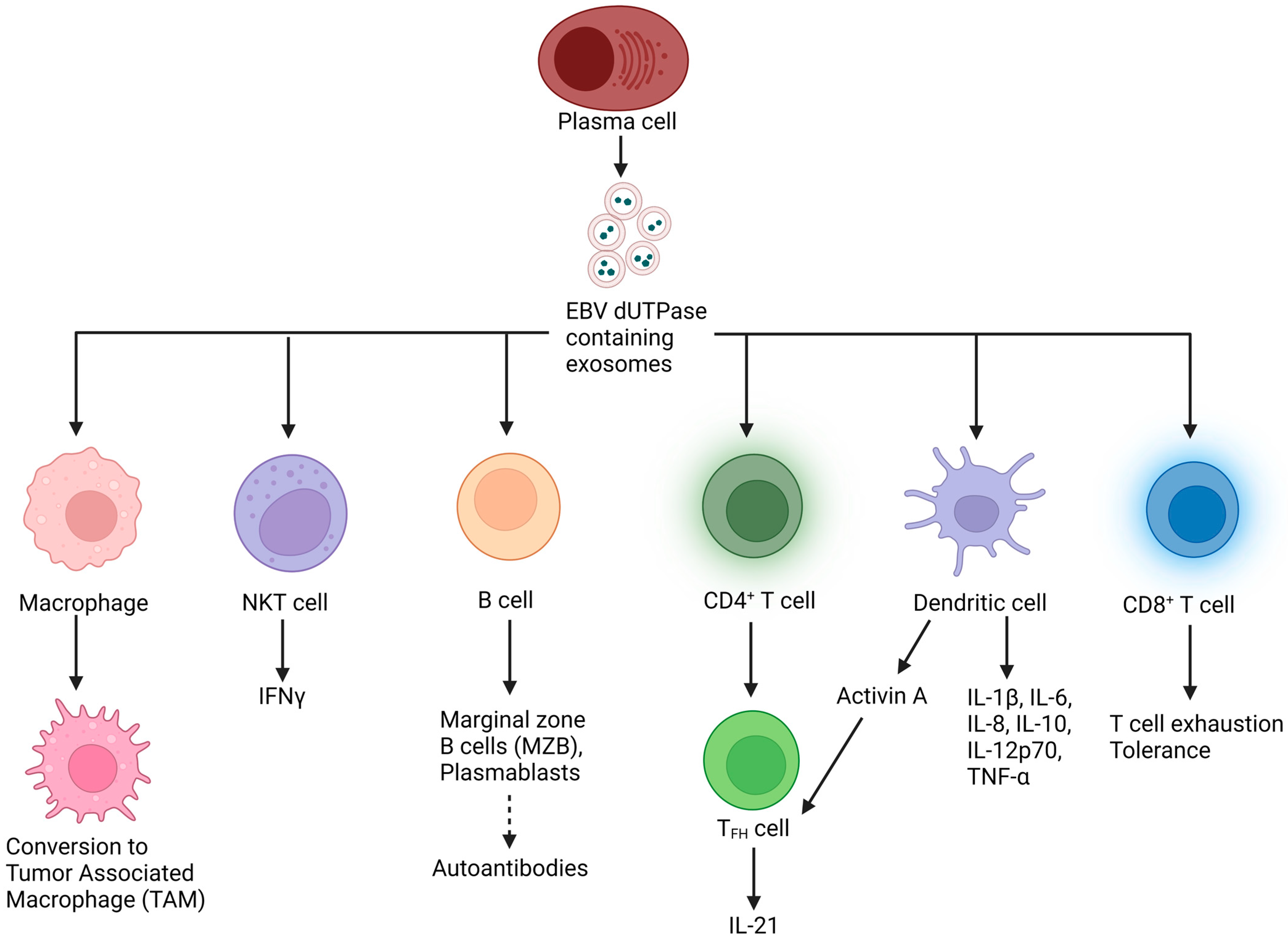 Cancers 15 00855 g004