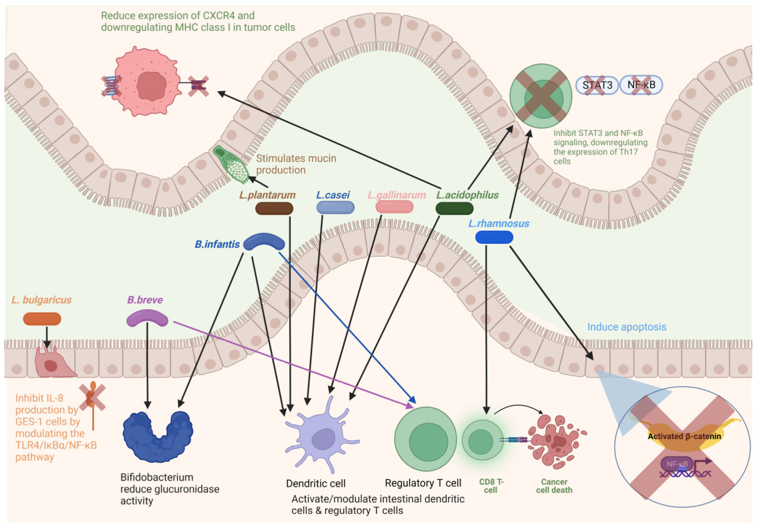Cancers 15 00866 g003